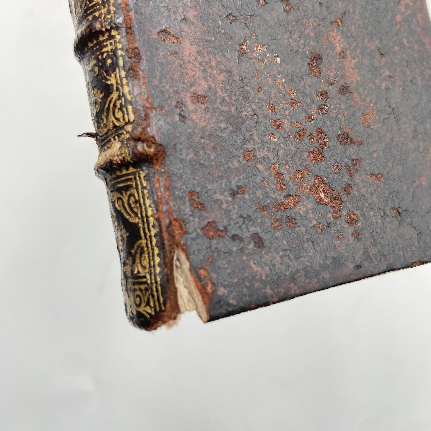 1661 "The Comedies of Terence (Terentii Comaediae Sex)" Mini Brown Full Leather Book