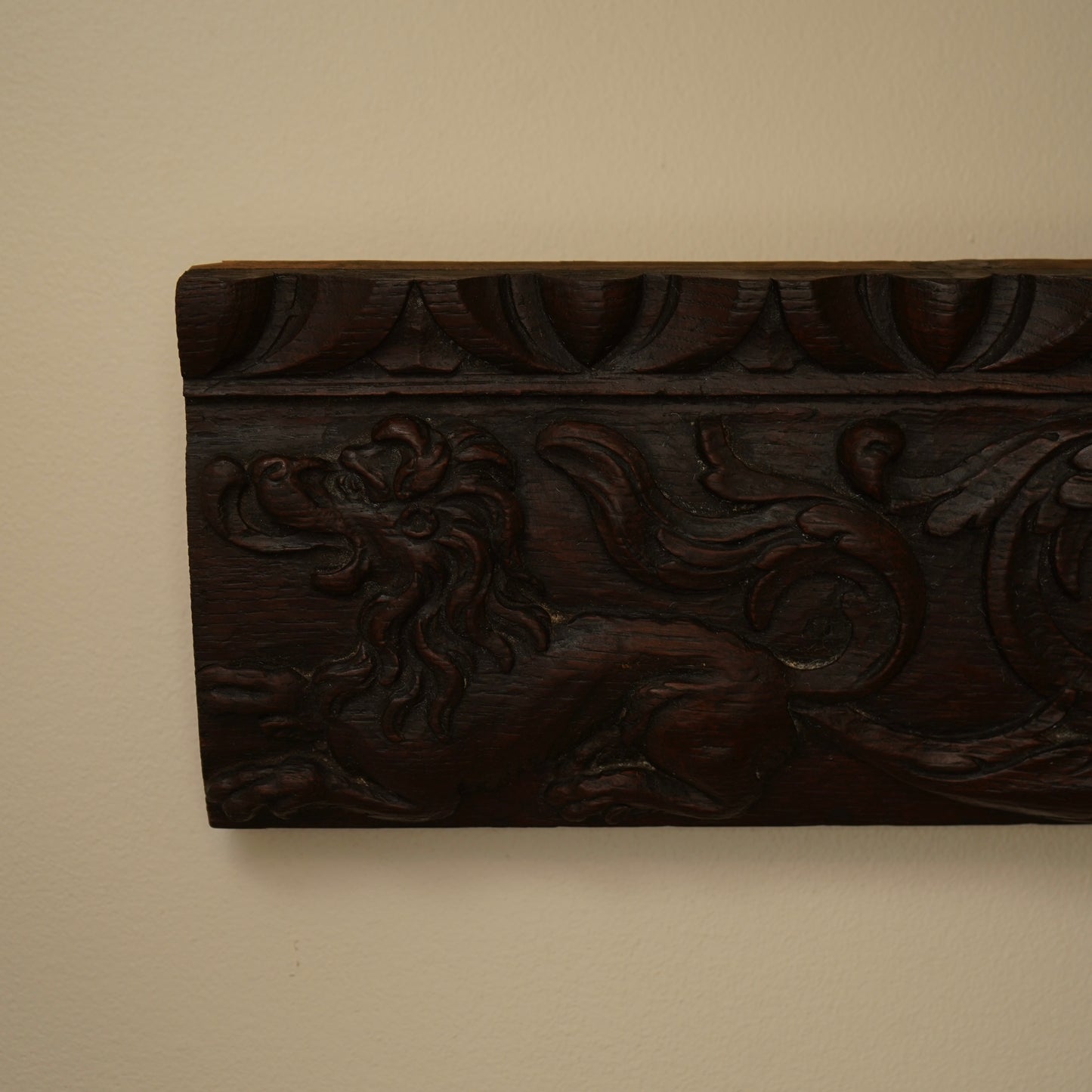 Antique Carved Oak Drawer Front | Renaissance Revival Lion, Grapevine & Acanthus | Architectural Salvage Wall Plaque c.1870–1900