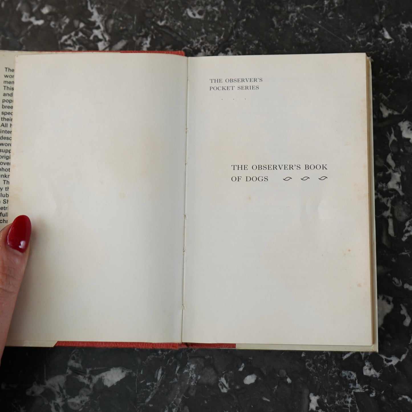 The Observer’s Book of Dogs (1970 Revised Edition) – Frederick Warne Pocket Series No. 8, Illustrated Vintage Dog Breed Guide
