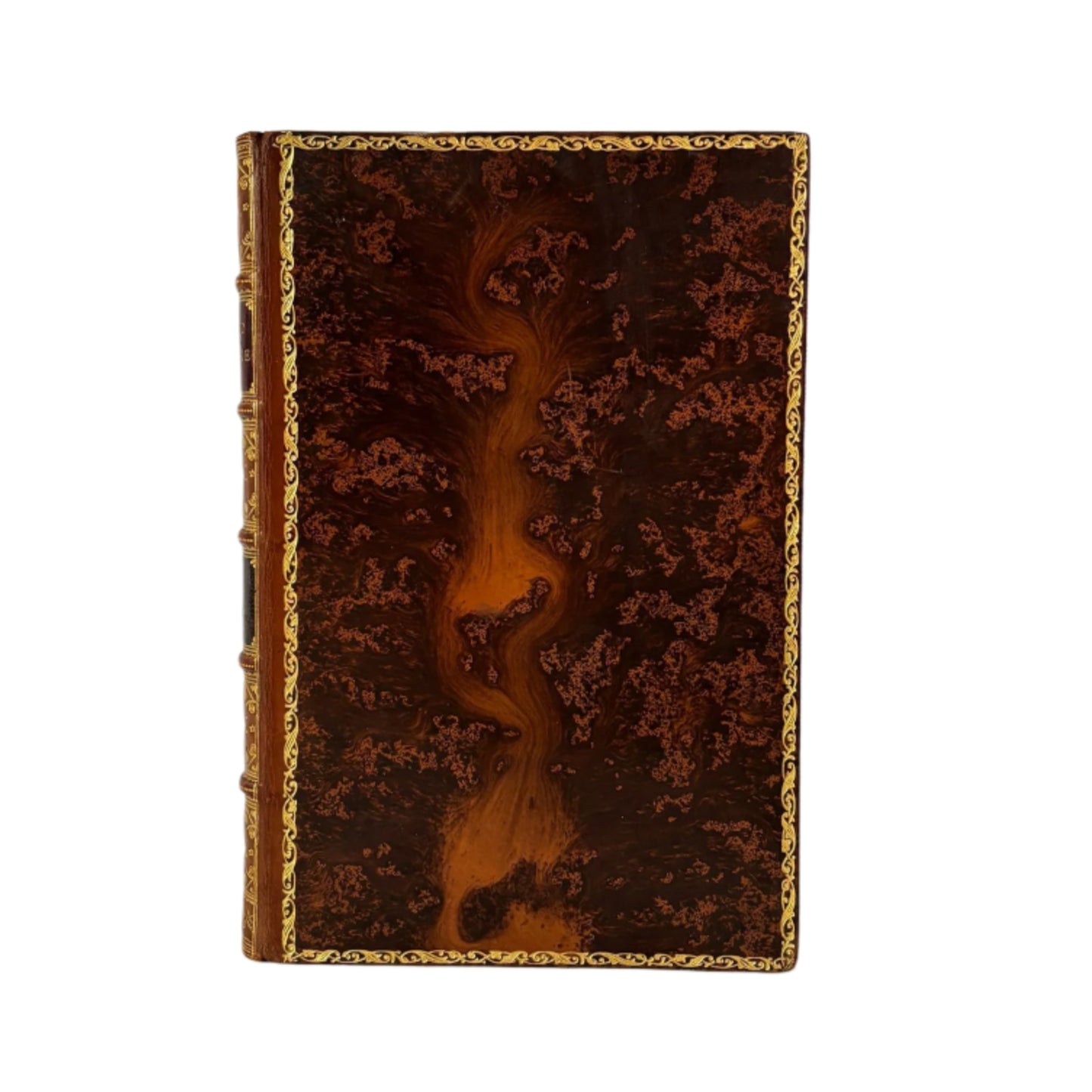 Hereward the Wake by Charles Kingsley, 1912 Historical Novel in Fine Tree Calf Binding with Illustrations