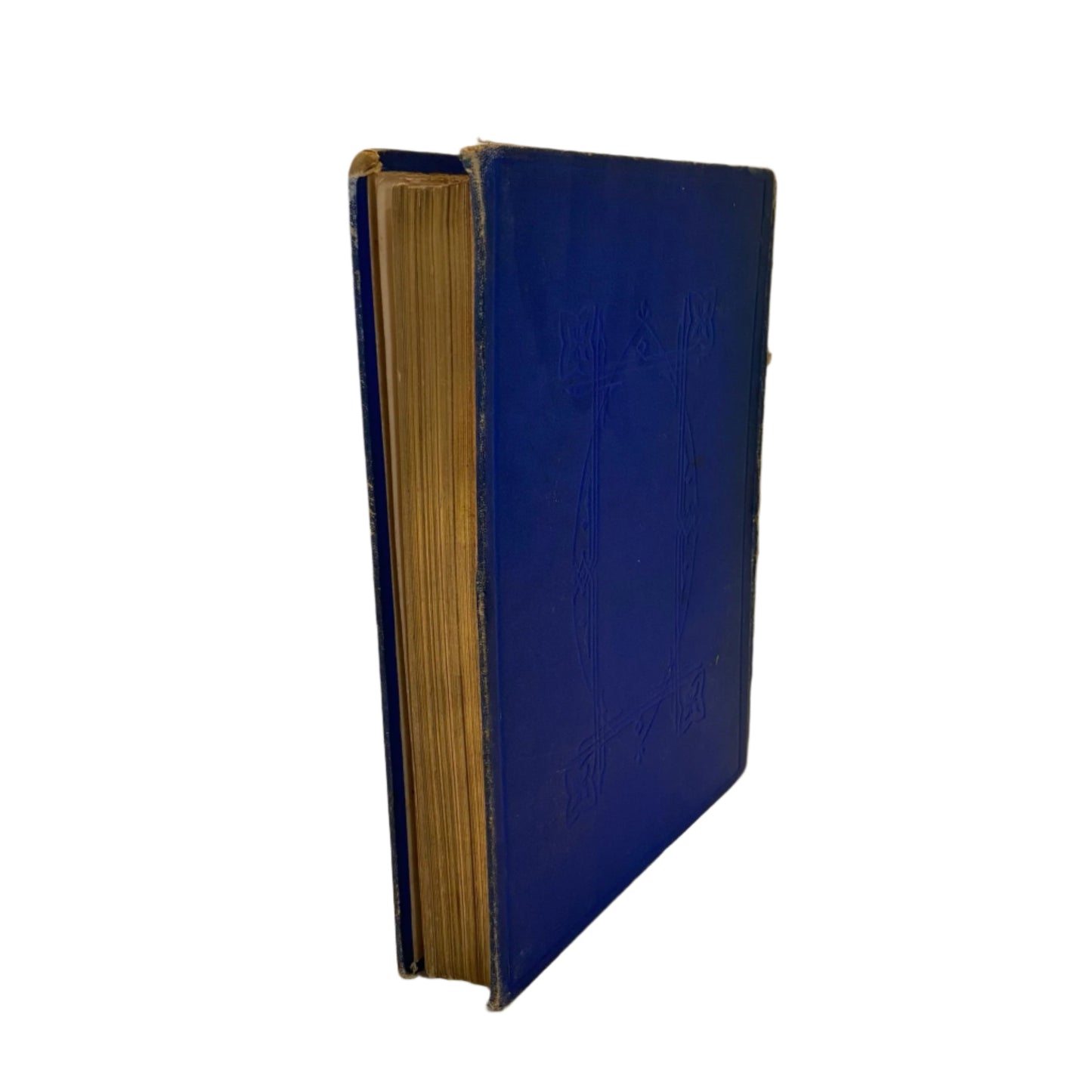 Circa 1870-1880 "Stories About Birds" Dark Blue Cloth Book