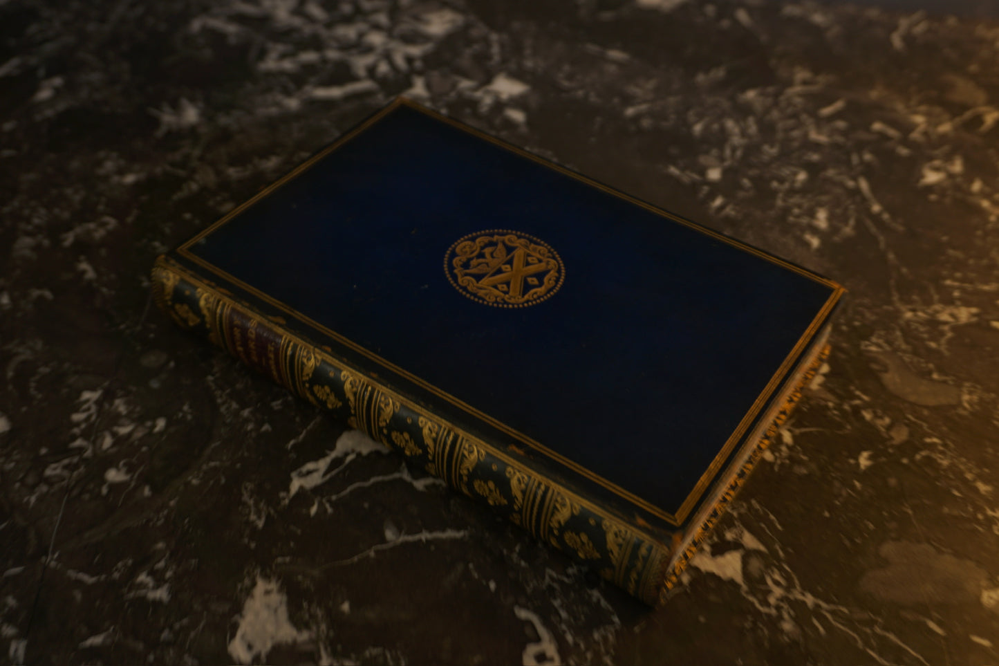 Antique Bird Book A Familiar History of Birds Victorian Prize Binding Blue Leather 1890s Illustrated Natural History