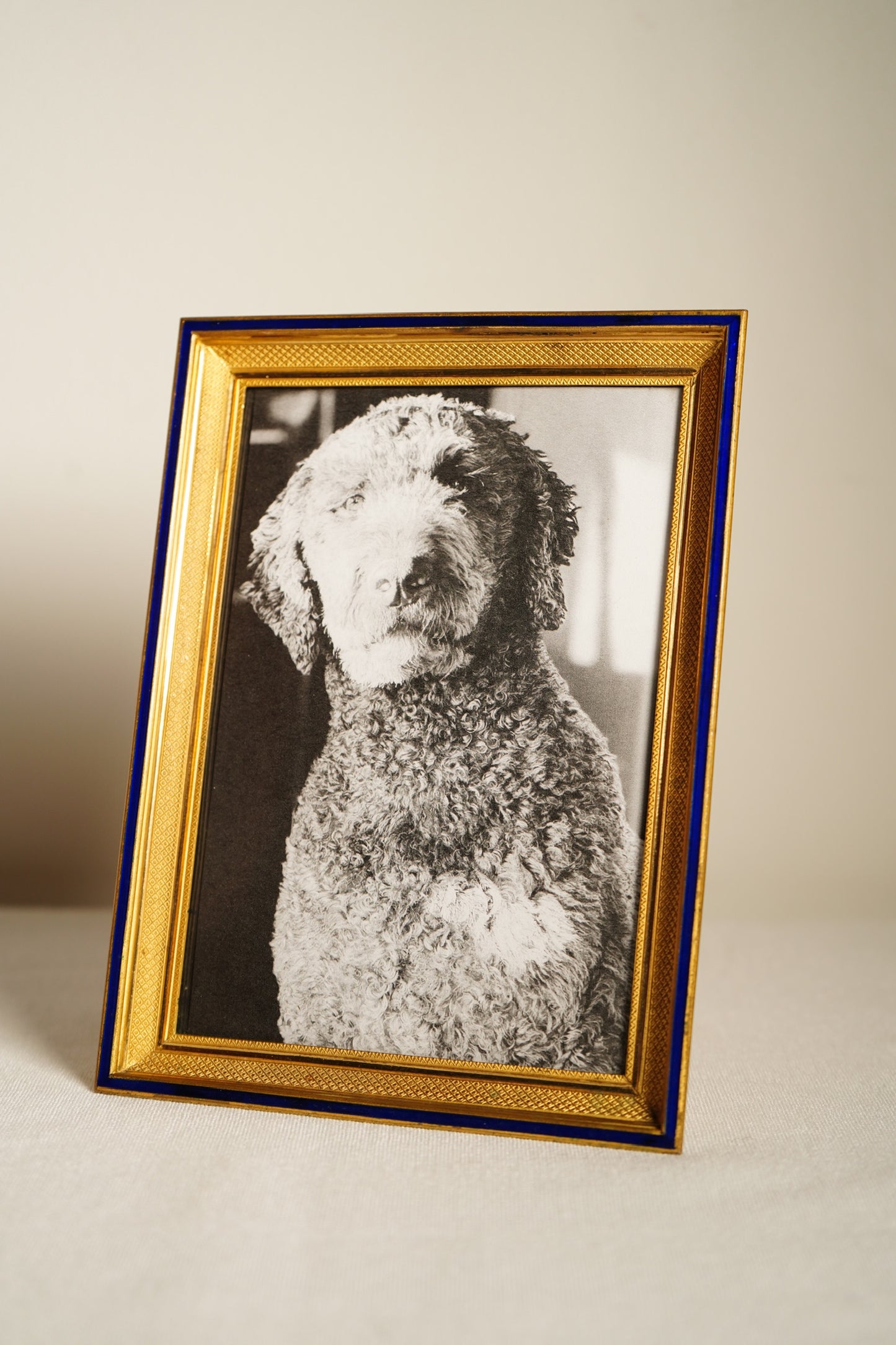 Parisian Gilt Brass and Cobalt Enamel Photograph Frame, Early 20th Century
