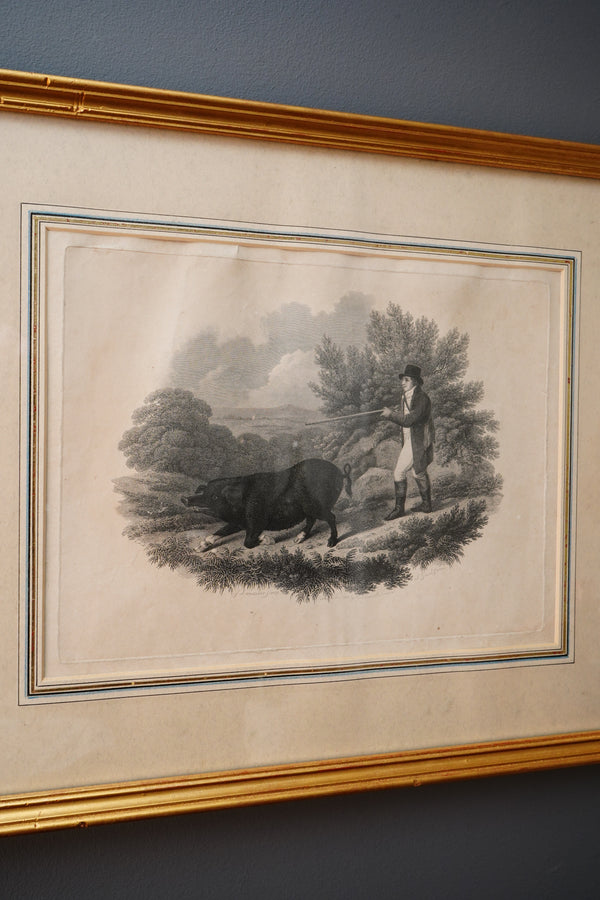 19th-Century Hand-Colored Engraving: Boar Hunting Scene, Circa 1870 secondary view