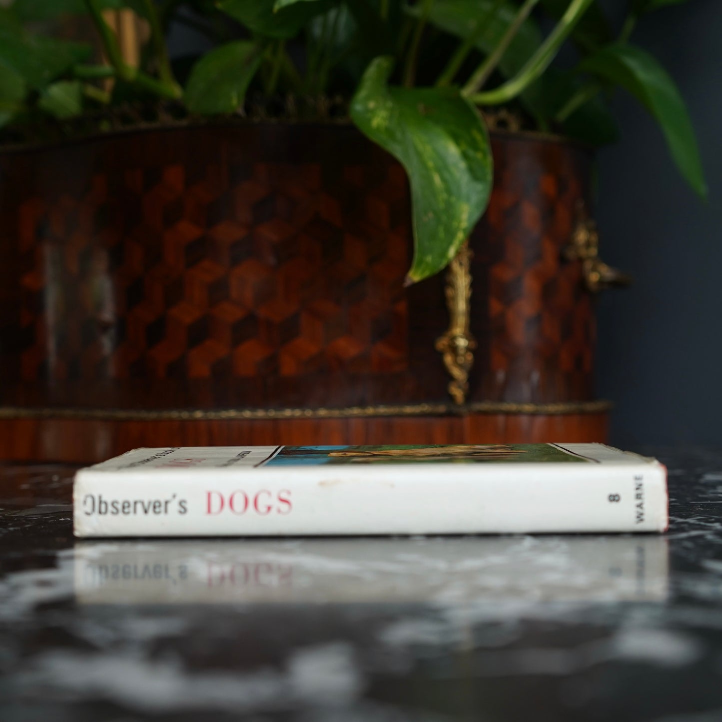 The Observer’s Book of Dogs (1970 Revised Edition) – Frederick Warne Pocket Series No. 8, Illustrated Vintage Dog Breed Guide