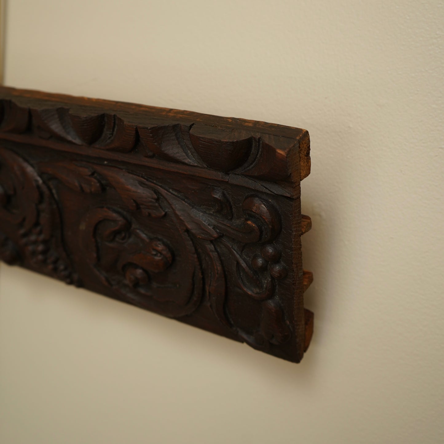 Antique Carved Oak Drawer Front | Renaissance Revival Lion, Grapevine & Acanthus | Architectural Salvage Wall Plaque c.1870–1900