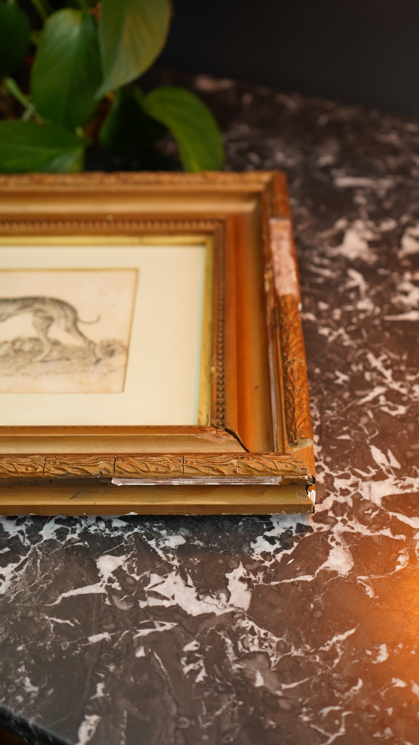 18th-Century British Sporting Etching of a Greyhound | After P. Murray, Delt.