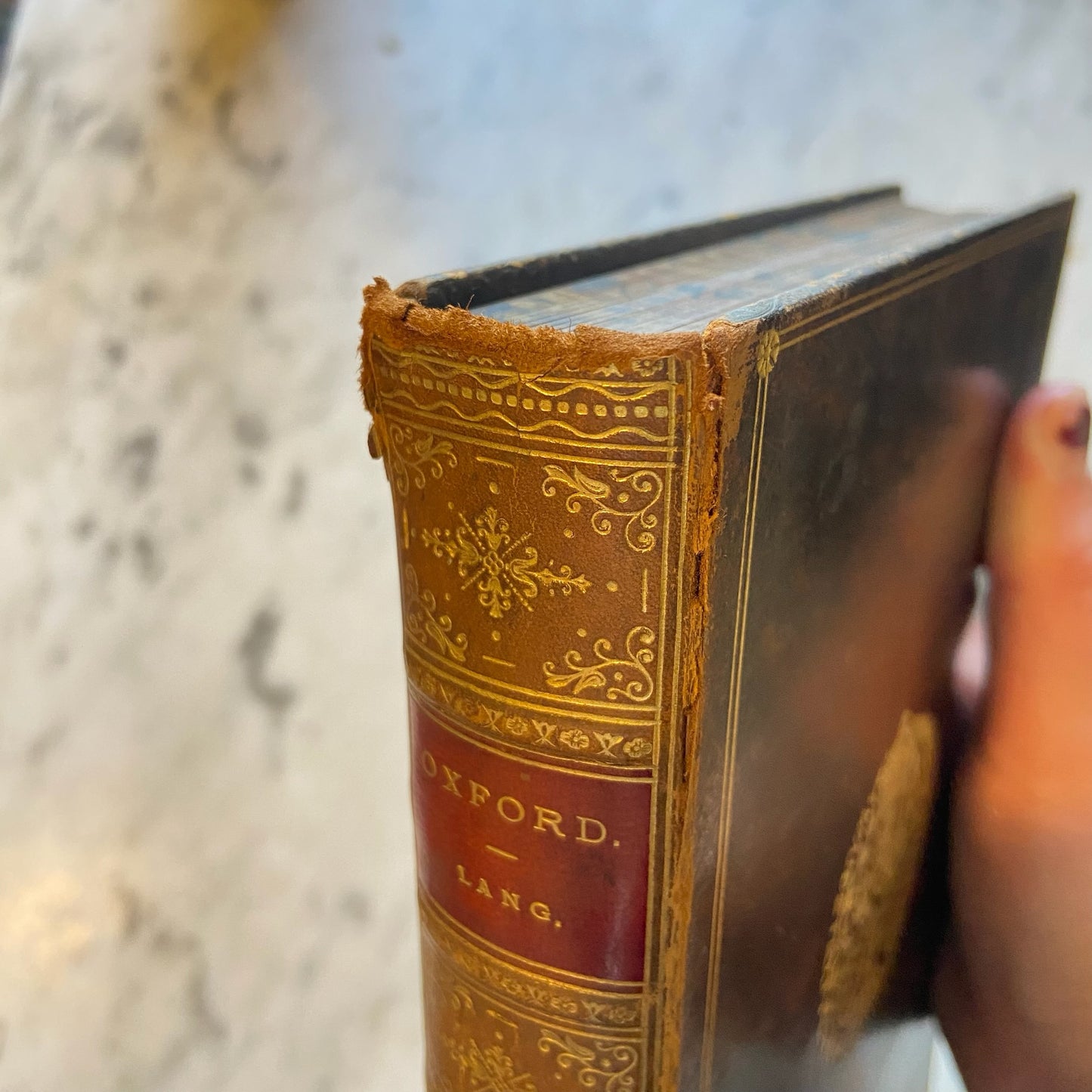 1890 “Oxford: Brief Historical and Descriptive Notes” by Andrew Lang – Antique Illustrated History Book in Tree Calf Prize Binding