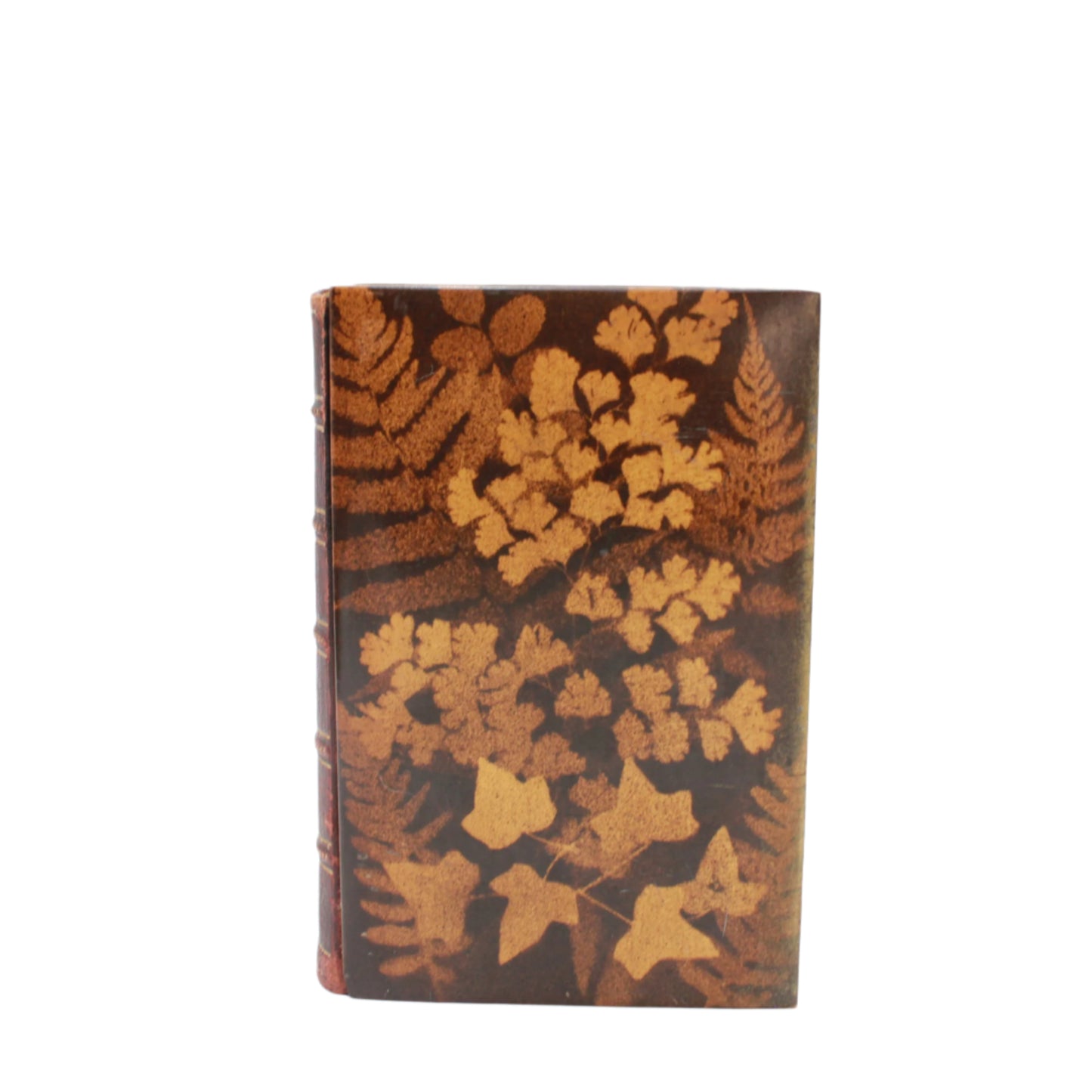 Mauchline Binding 1849 "The Poetical Works of Sir Walter Scott"