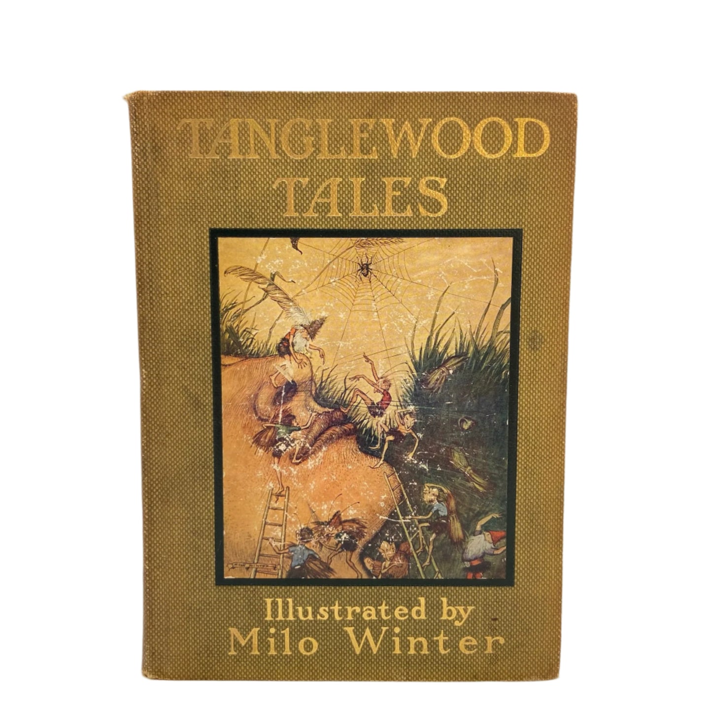 "Tanglewood Tales" Victorian Cloth Book