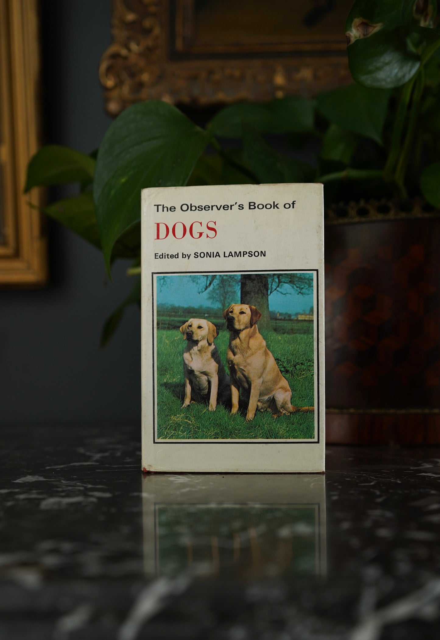 The Observer’s Book of Dogs (1970 Revised Edition) – Frederick Warne Pocket Series No. 8, Illustrated Vintage Dog Breed Guide