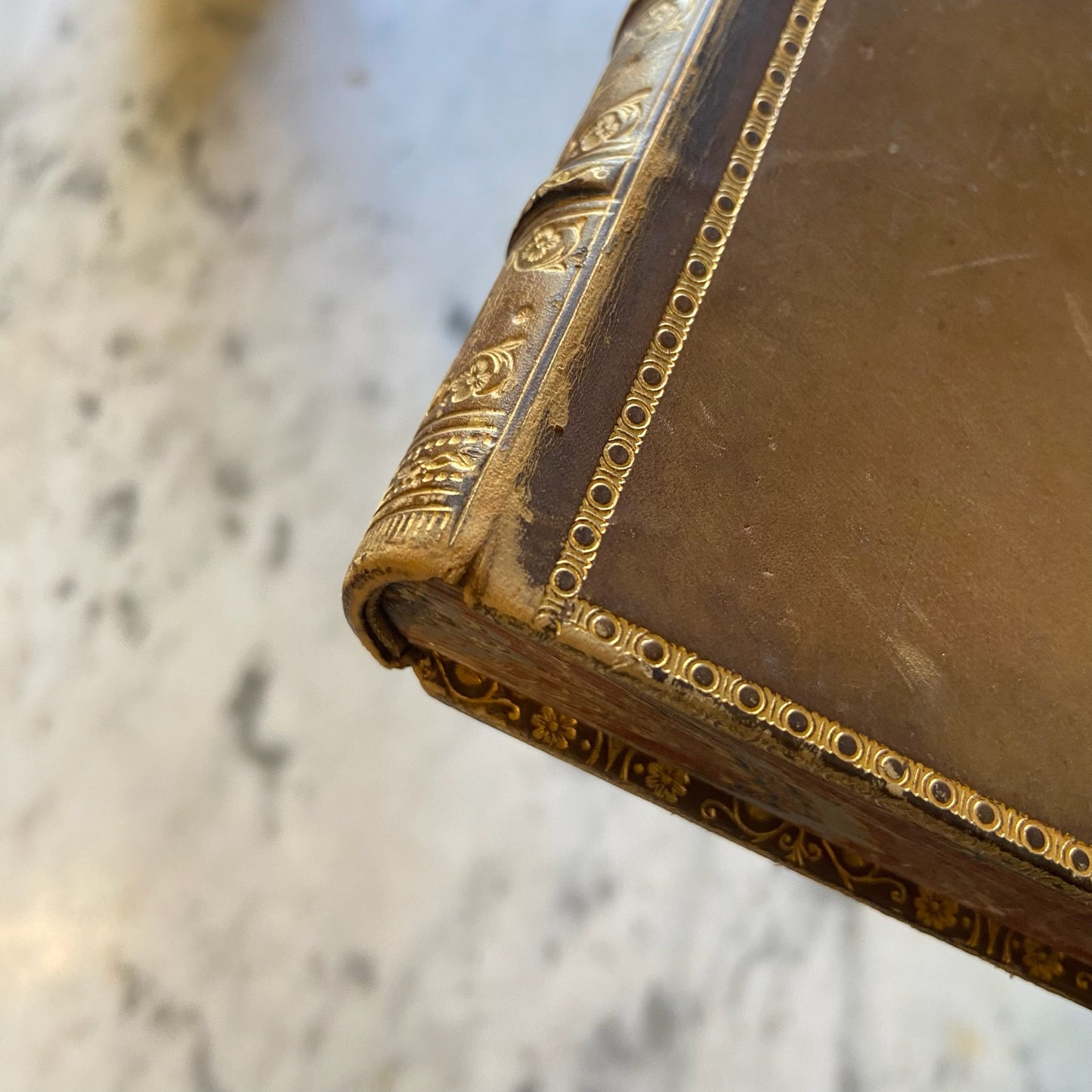 1884 Belt and Spur Historical Chivalry Book in Full Leather Prize Binding