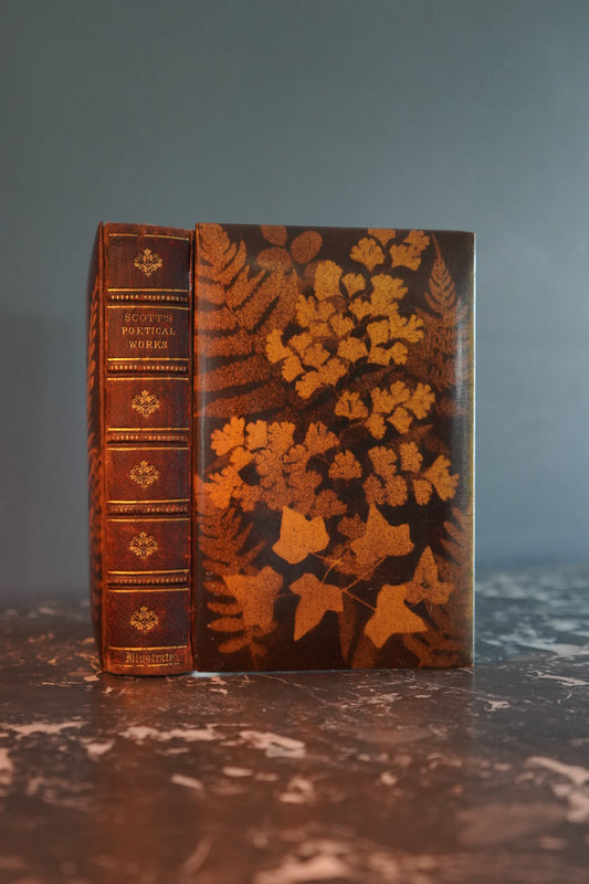 Mauchline Binding 1849 "The Poetical Works of Sir Walter Scott"