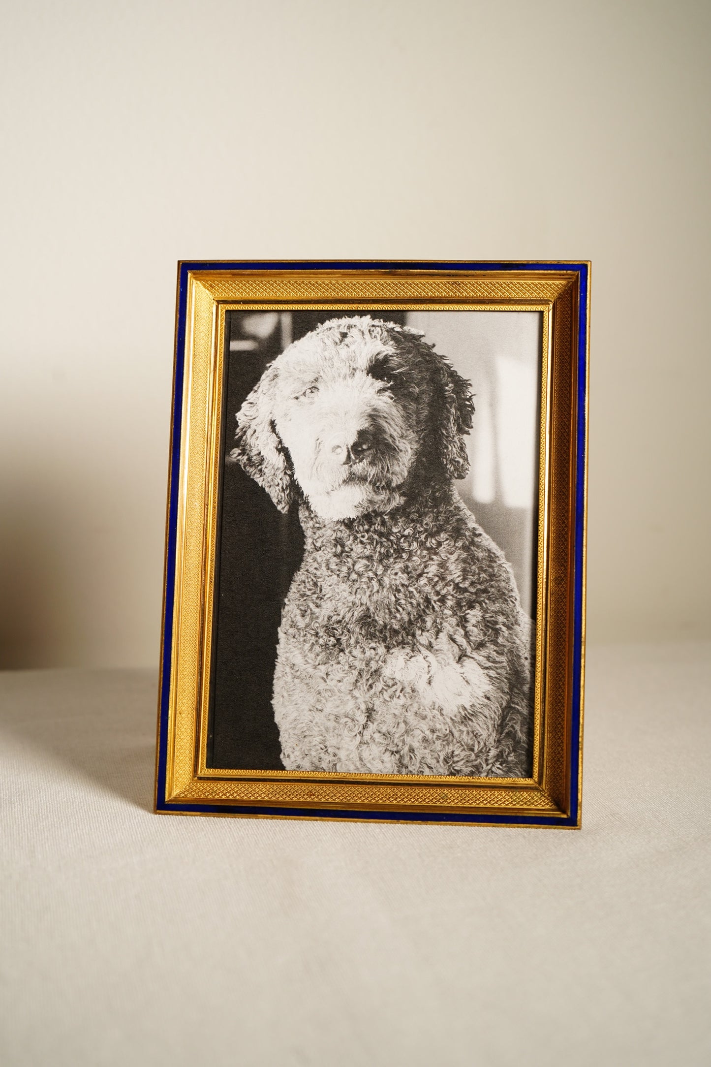 Parisian Gilt Brass and Cobalt Enamel Photograph Frame, Early 20th Century