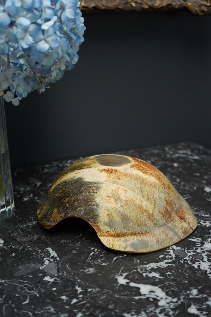 Antique Hand-Carved Horn Bowl | Natural Polished Horn Decorative Vessel