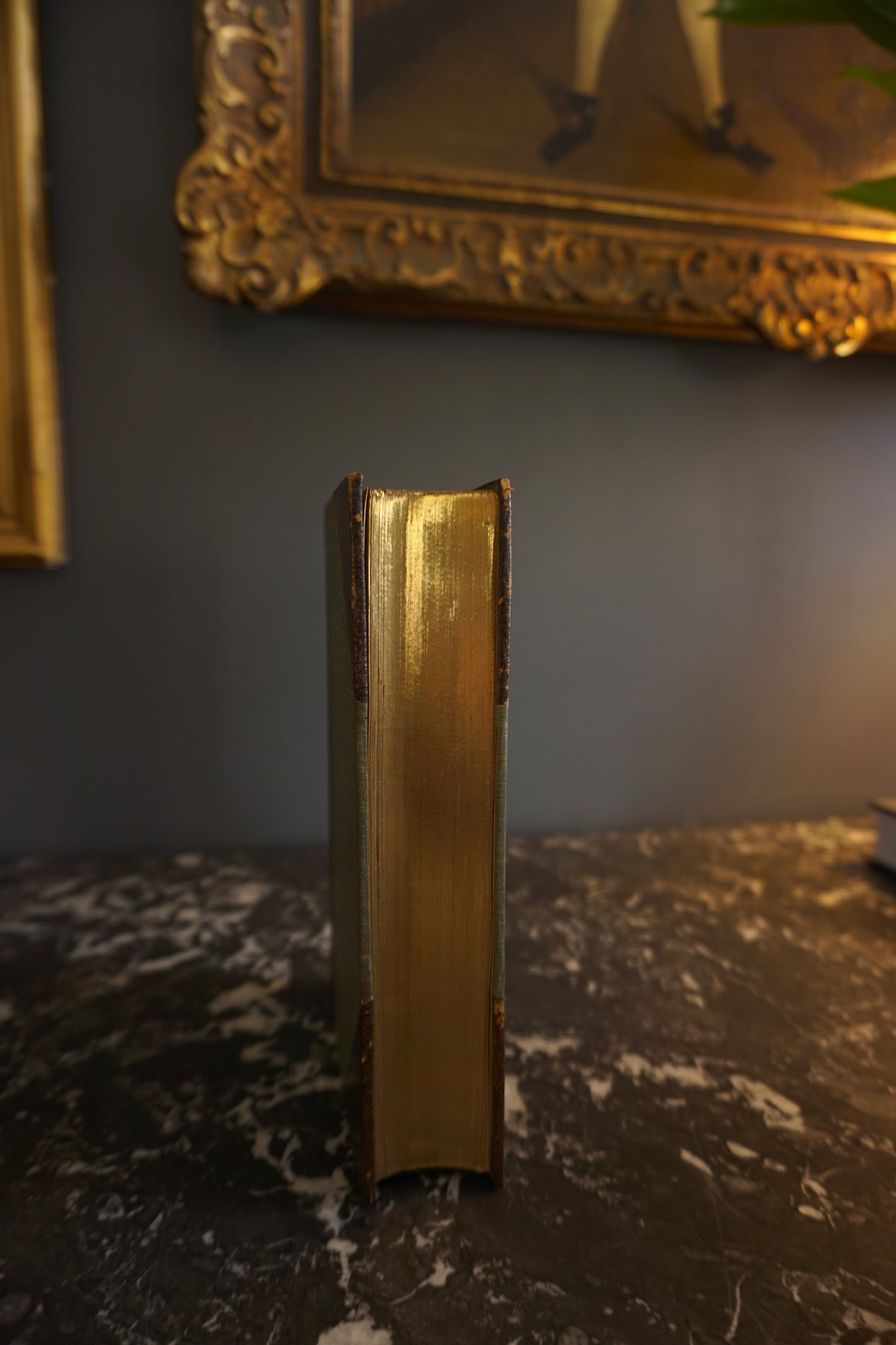 1907 "Delicia" Brown Half Leather Book