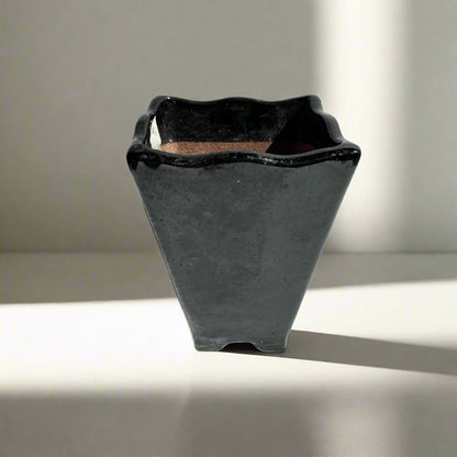 Mid-Century Japanese Black Tenmoku Glazed Terracotta Bonsai Pot | Wabi-Sabi Folk Craft Planter (8.75")