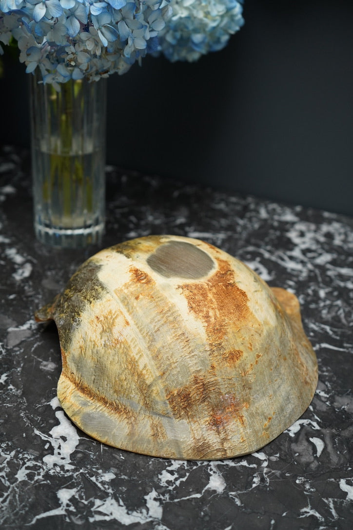 Antique Hand-Carved Horn Bowl | Natural Polished Horn Decorative Vessel