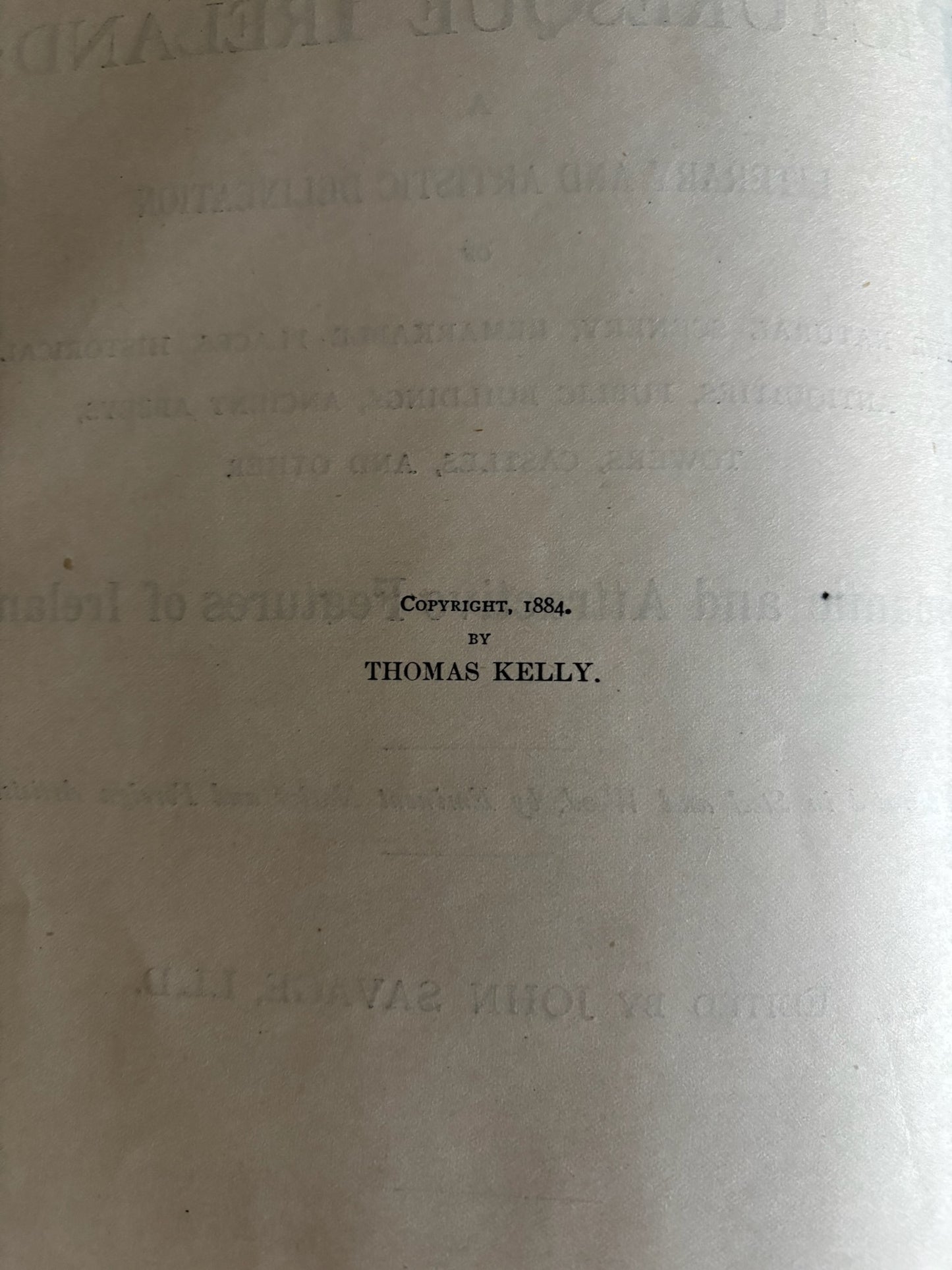 1884 Picturesque Ireland by John Savage | Illustrated Victorian Leather-Bound Book