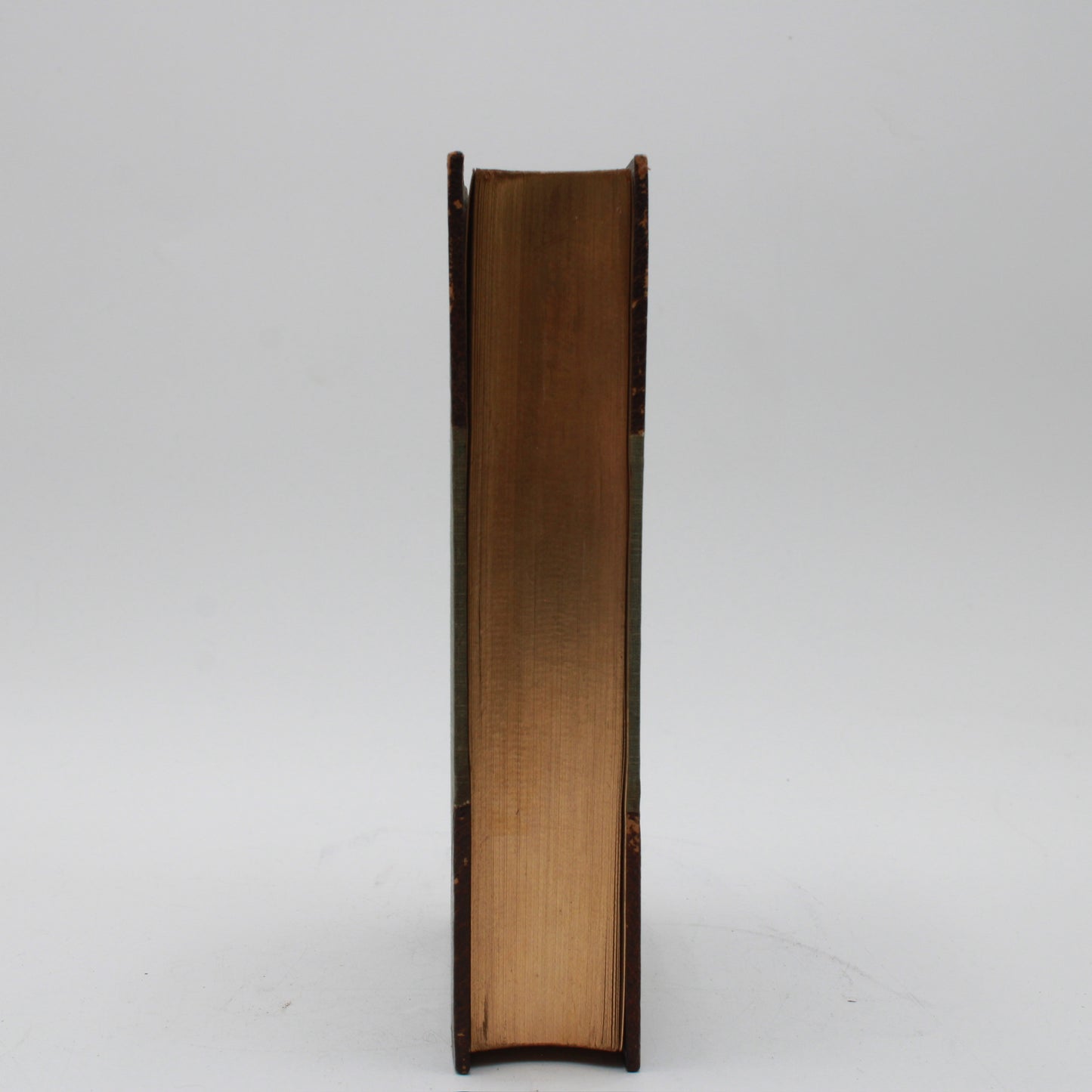 1907 "Delicia" Brown Half Leather Book