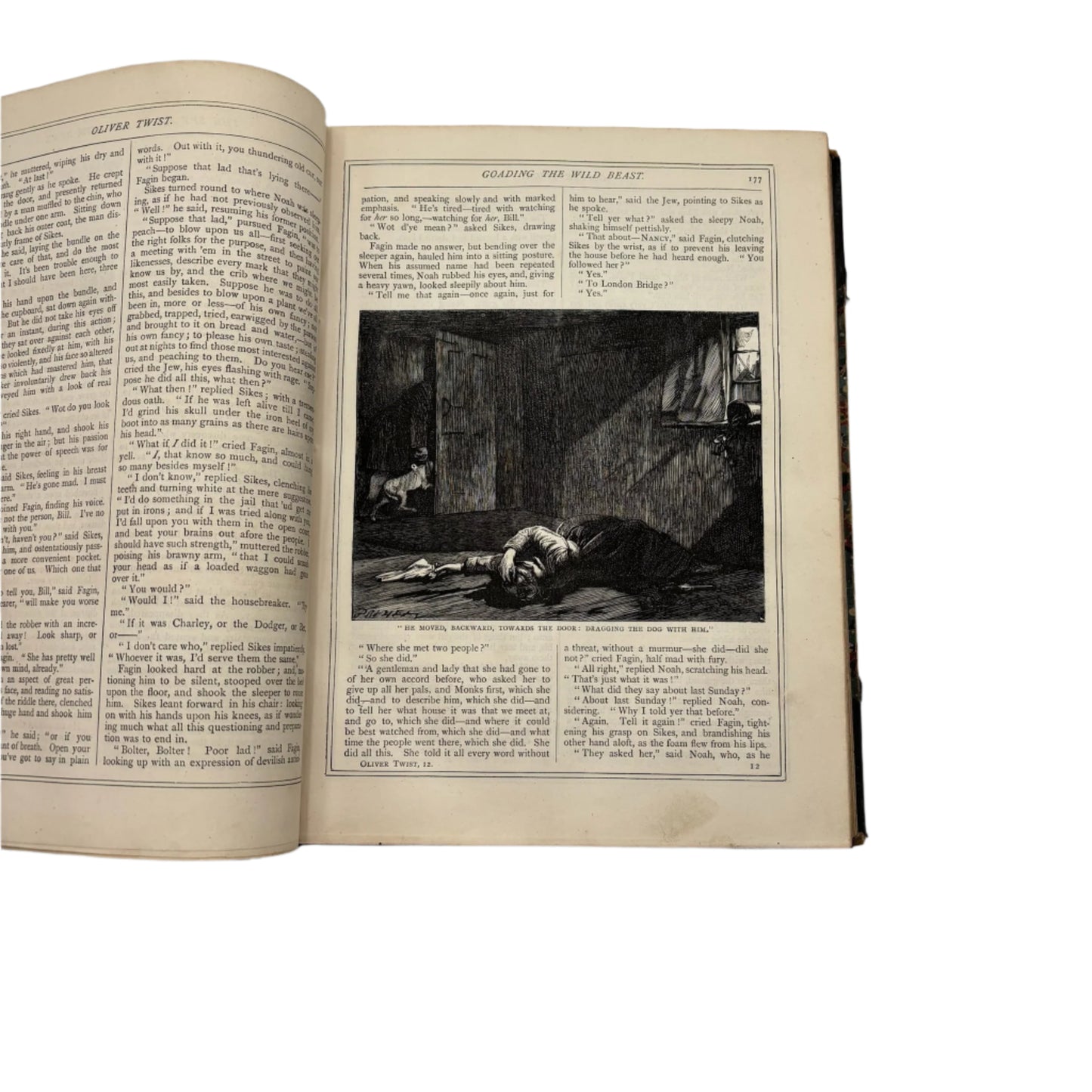 Antique Dickens Literature Book Oliver Twist and Martin Chuzzlewit Victorian Illustrated Edition