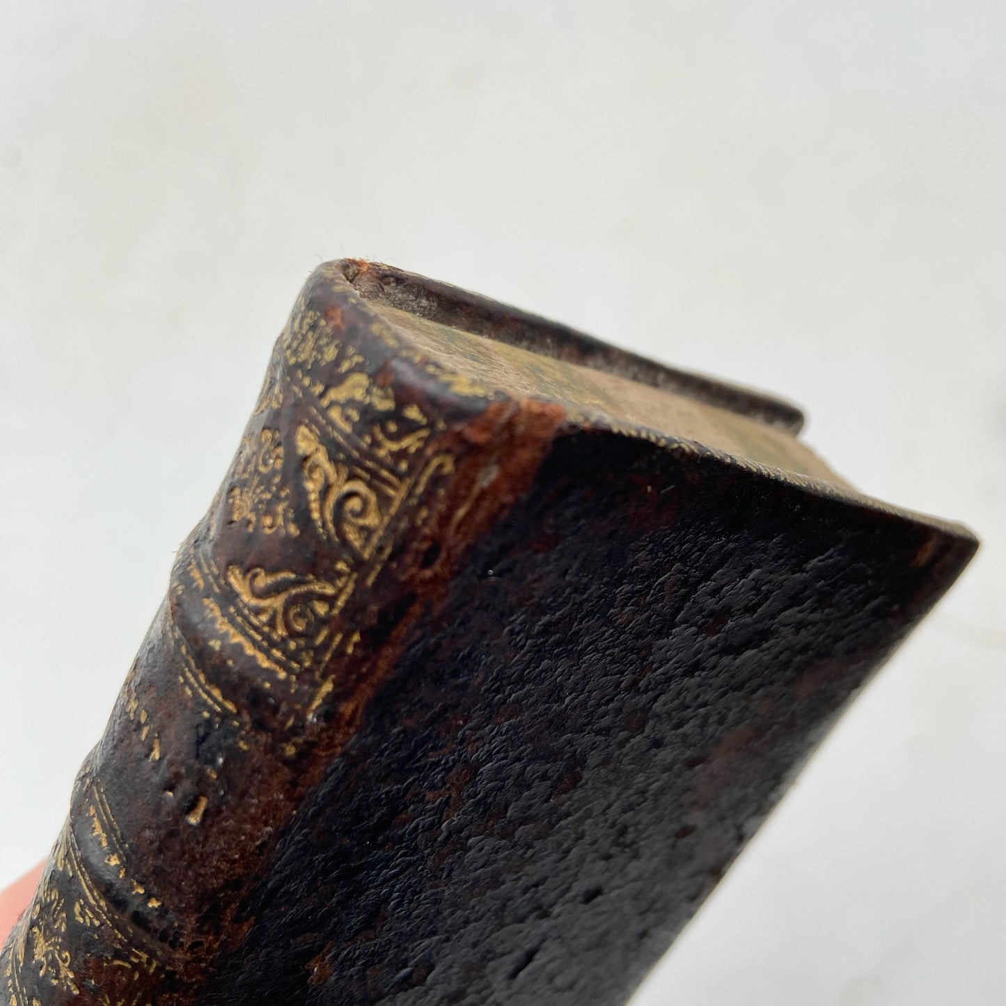 1661 "The Comedies of Terence (Terentii Comaediae Sex)" Mini Brown Full Leather Book