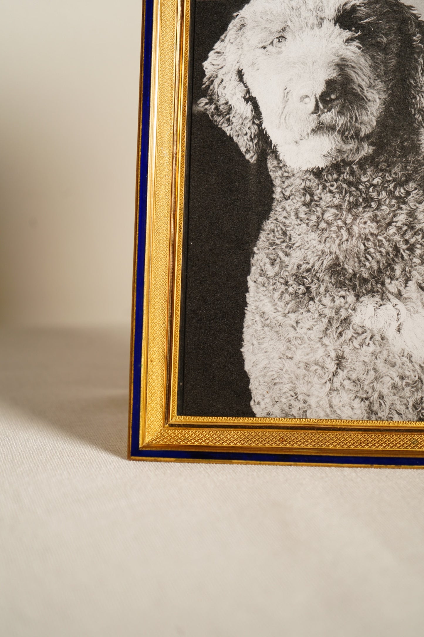 Parisian Gilt Brass and Cobalt Enamel Photograph Frame, Early 20th Century
