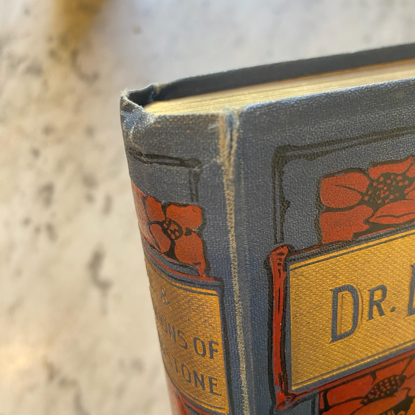 Antique "The Life of David Livingstone: The Great Missionary Explorer" Blue Cloth Book