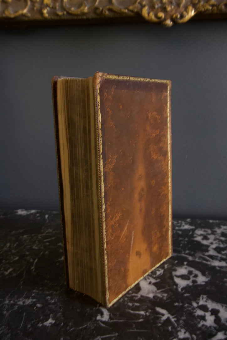 1896 "Prose Masterpieces from Modern Essayists" Brown Full Leather Book