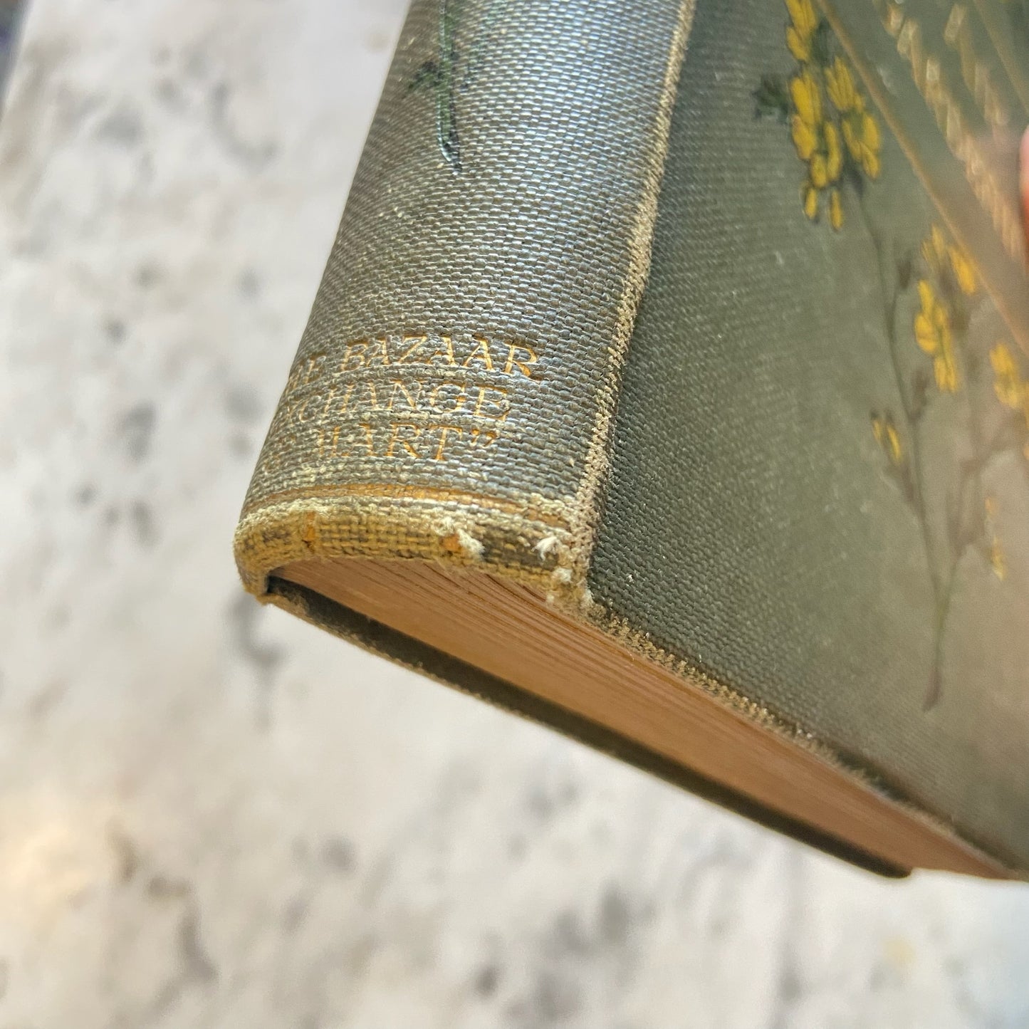 Victorian "Open Air Gardening: The Culture of Hearty Flowers, Fruits, Vegetables" Nature Green Cloth Book