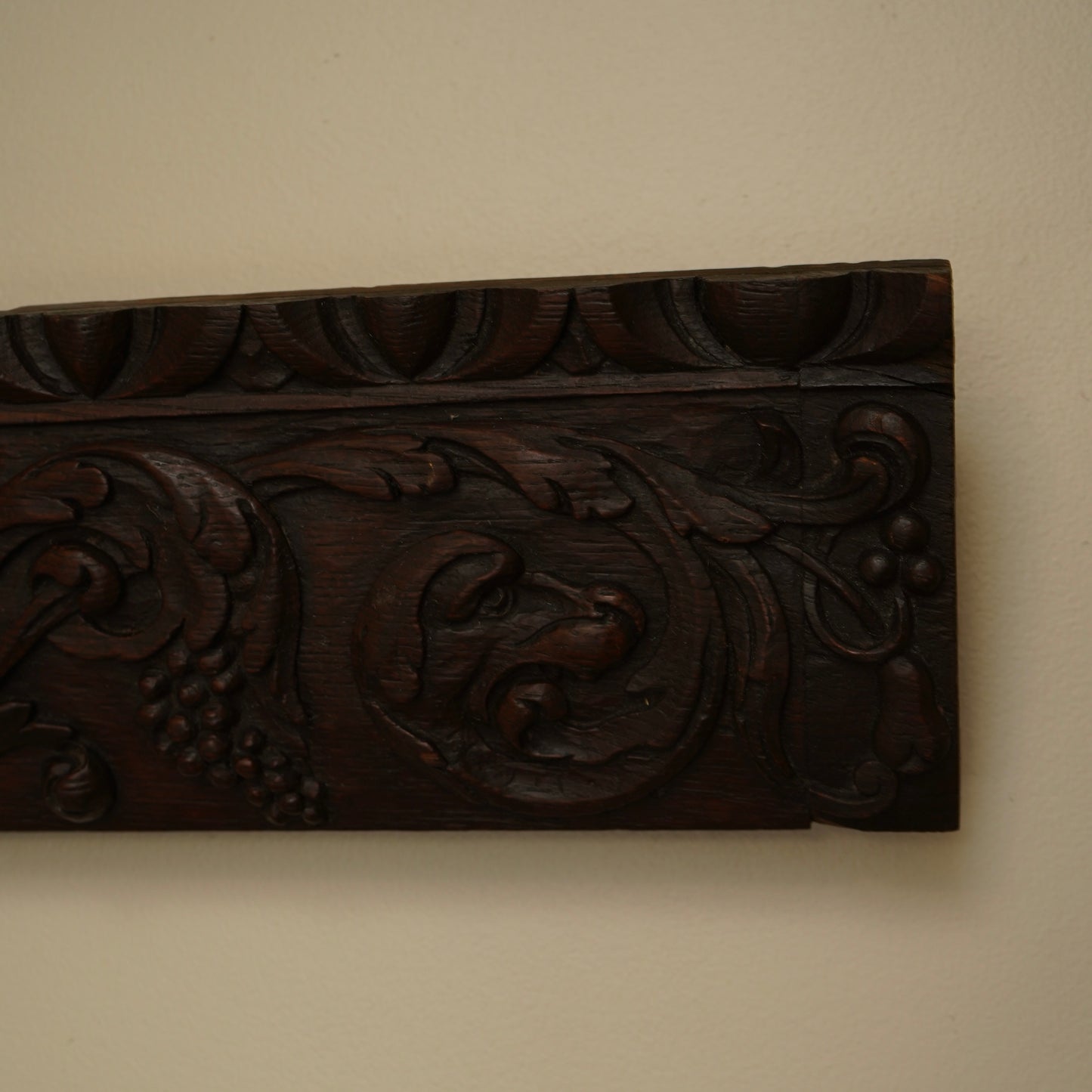 Antique Carved Oak Drawer Front | Renaissance Revival Lion, Grapevine & Acanthus | Architectural Salvage Wall Plaque c.1870–1900