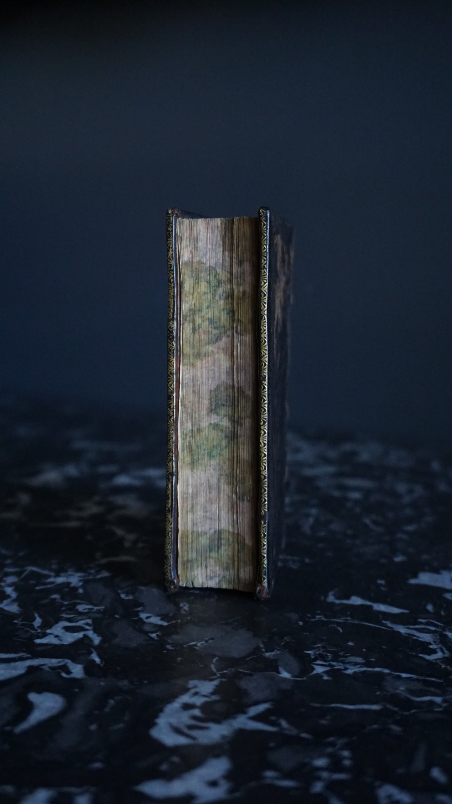 1661 "The Comedies of Terence (Terentii Comaediae Sex)" Mini Brown Full Leather Book