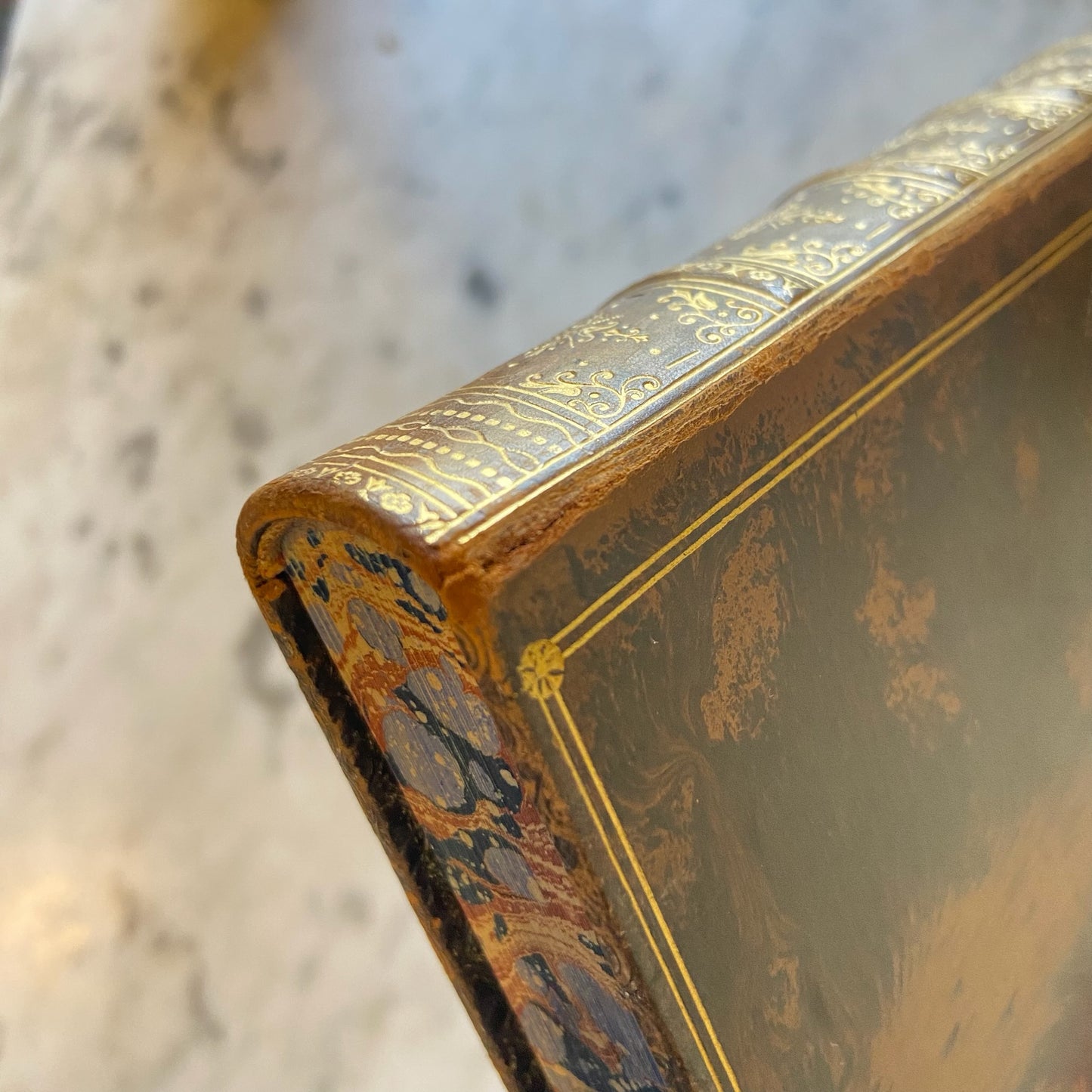 1890 “Oxford: Brief Historical and Descriptive Notes” by Andrew Lang – Antique Illustrated History Book in Tree Calf Prize Binding