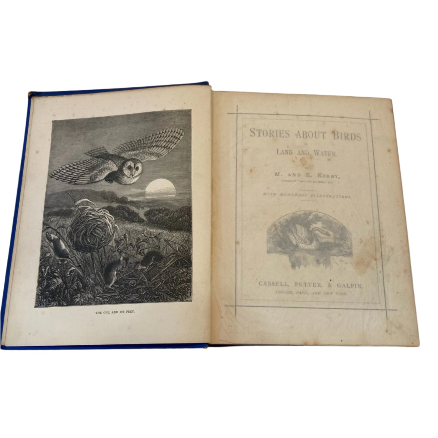 Circa 1870-1880 "Stories About Birds" Dark Blue Cloth Book