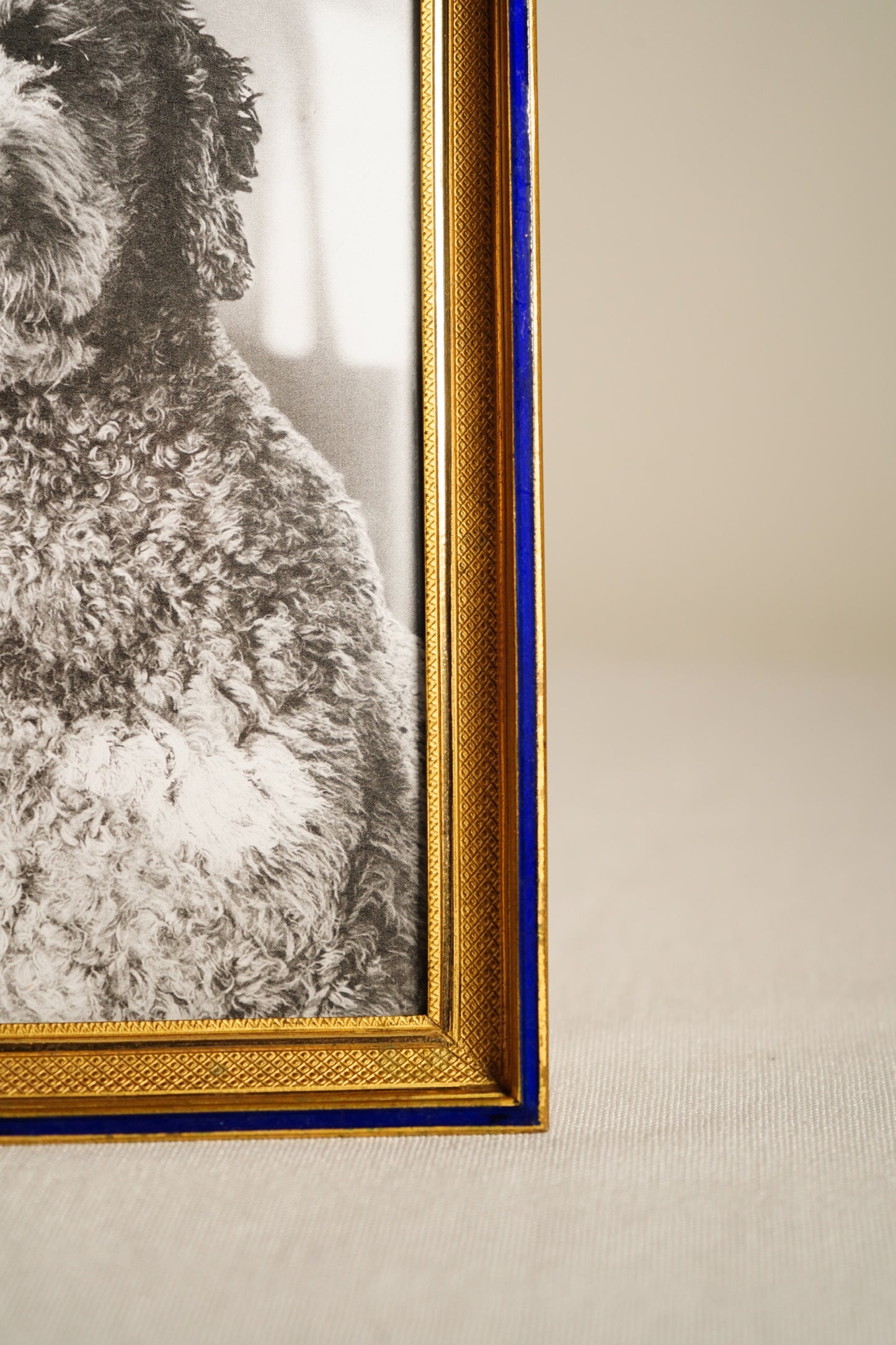 Parisian Gilt Brass and Cobalt Enamel Photograph Frame, Early 20th Century