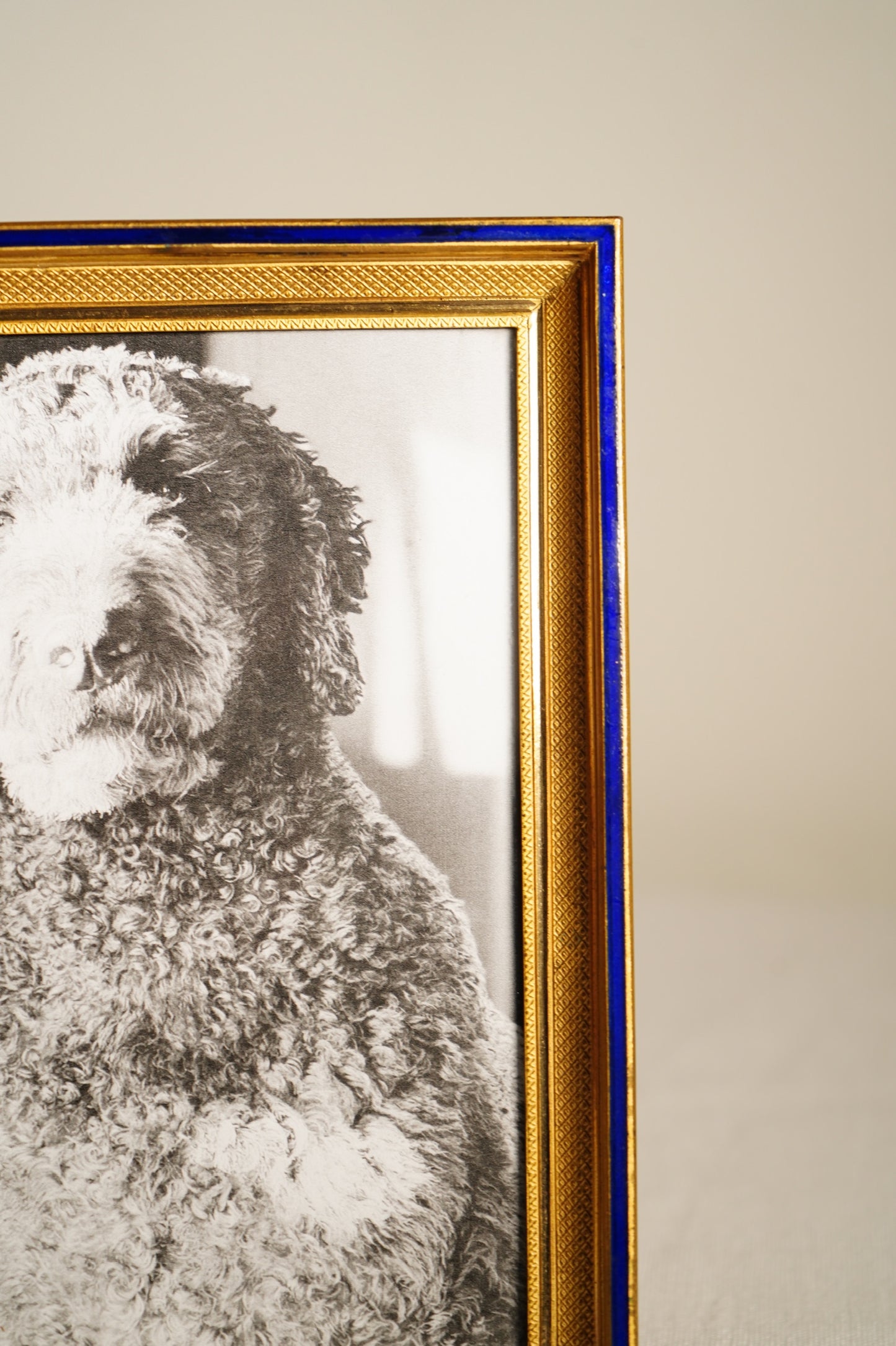 Parisian Gilt Brass and Cobalt Enamel Photograph Frame, Early 20th Century