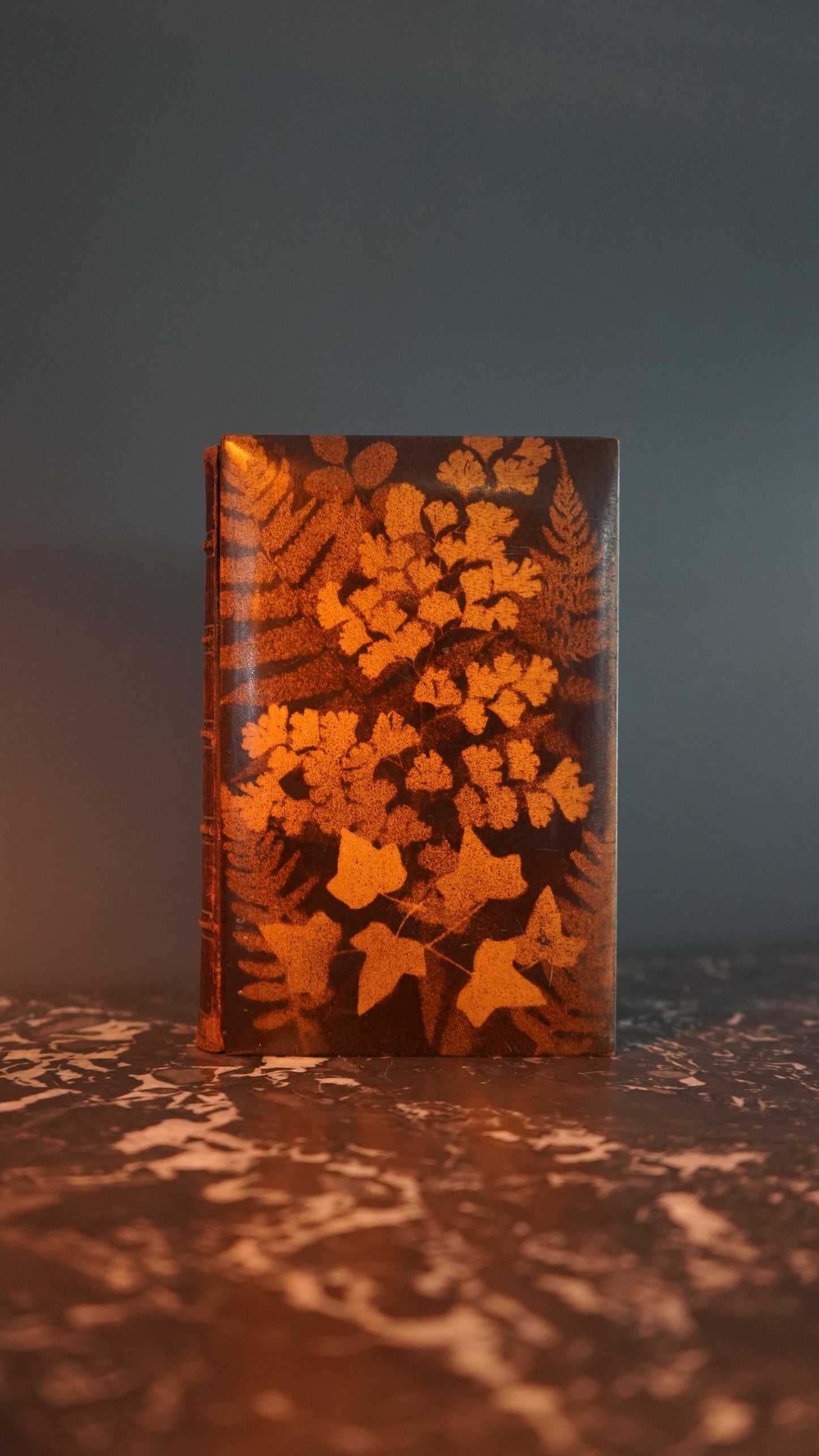 Mauchline Binding 1849 "The Poetical Works of Sir Walter Scott"