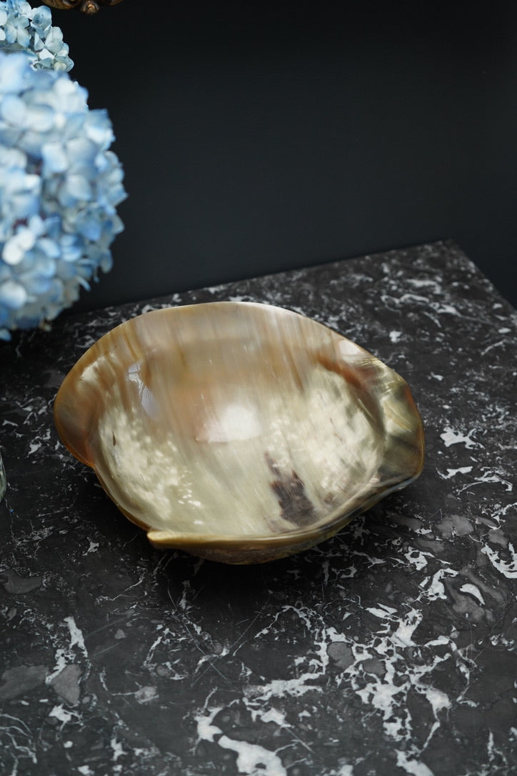 Antique Hand-Carved Horn Bowl | Natural Polished Horn Decorative Vessel