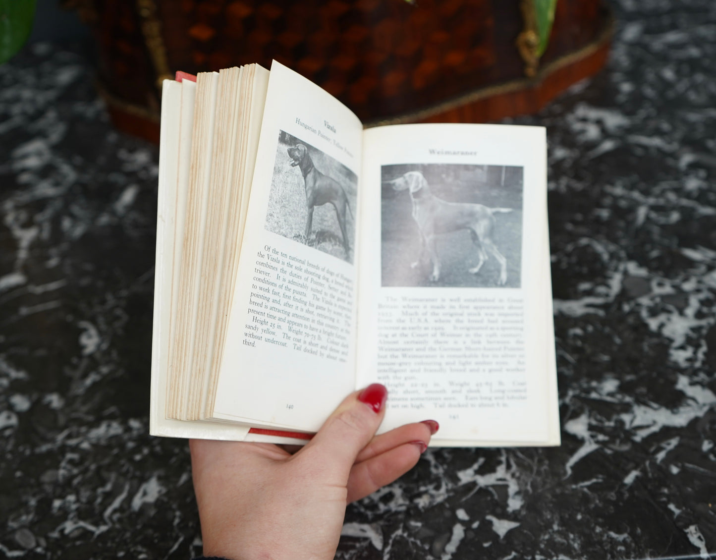 The Observer’s Book of Dogs (1970 Revised Edition) – Frederick Warne Pocket Series No. 8, Illustrated Vintage Dog Breed Guide