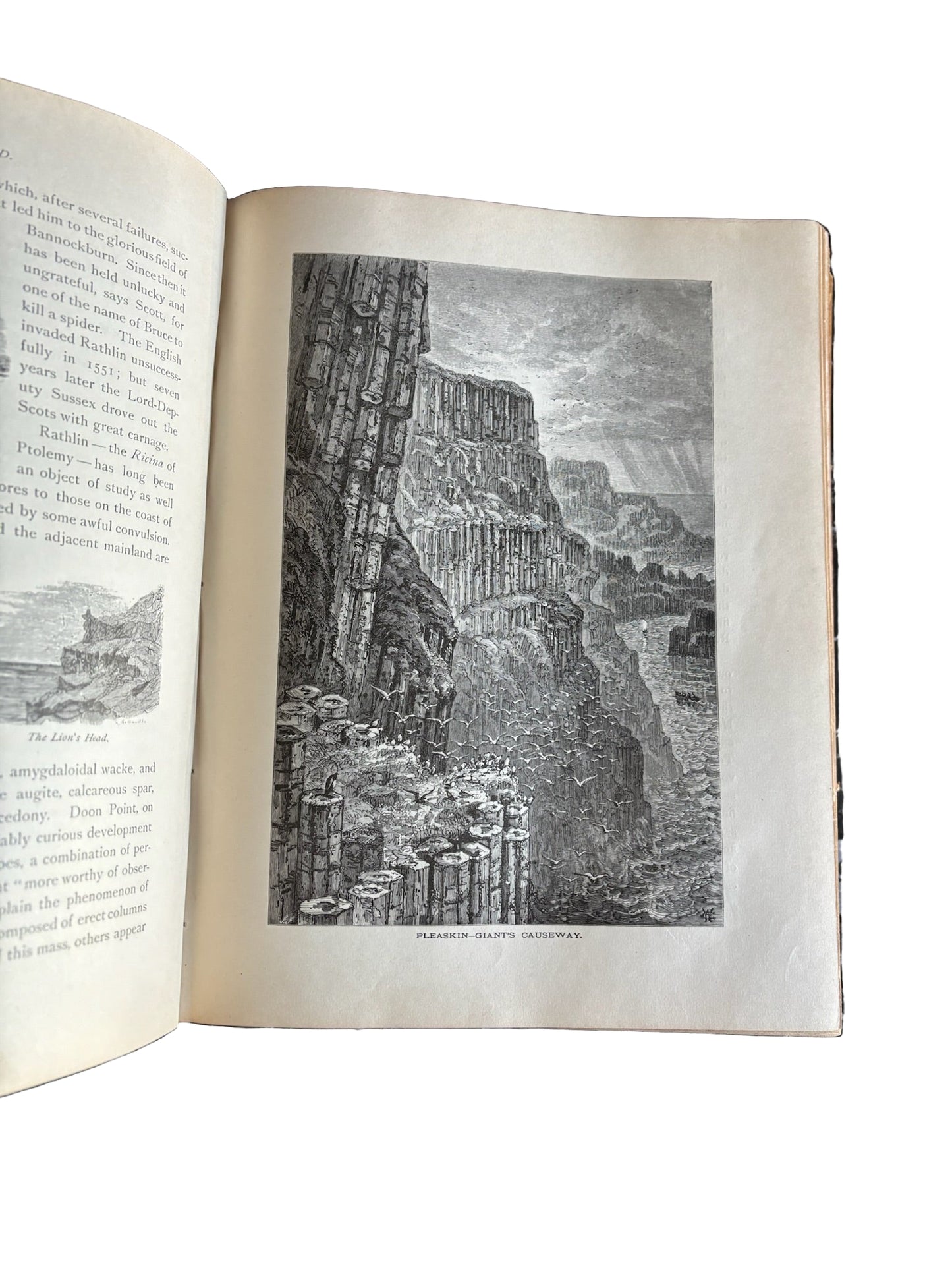 1884 Picturesque Ireland by John Savage | Illustrated Victorian Leather-Bound Book