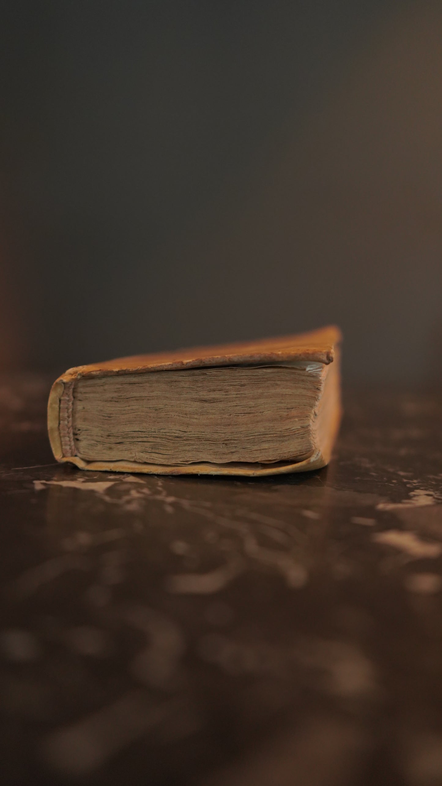 Miniature 1675 "La Valge Smarrita di antonio Lupis" Italian Vellum Book