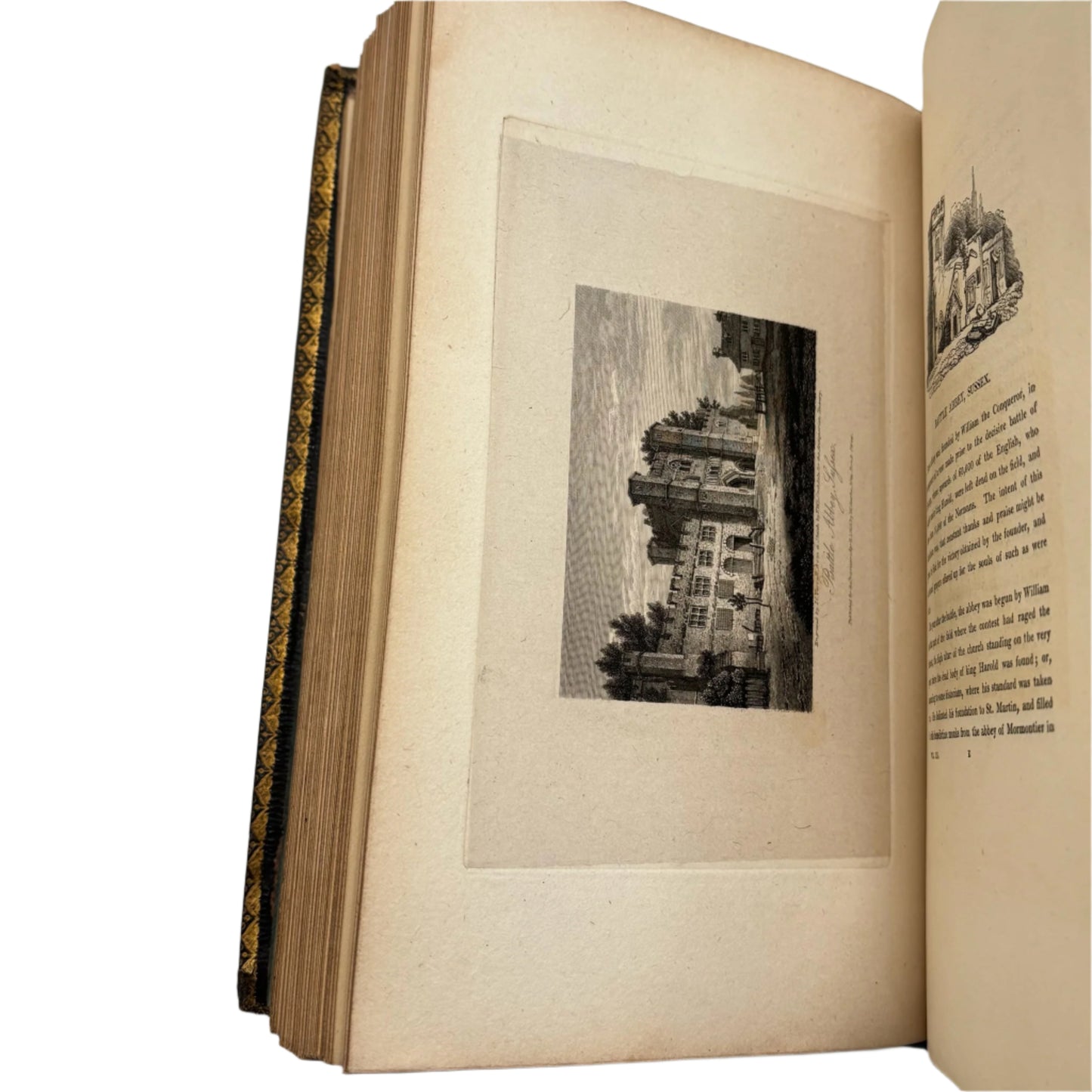 4 Volumes 1815 & 1816"The Antiquarian Itinerary" Full Black Moroccon Leather Book