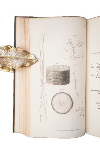 1832 Jane Marcet Conversations on Vegetable Physiology 2 Vol Set