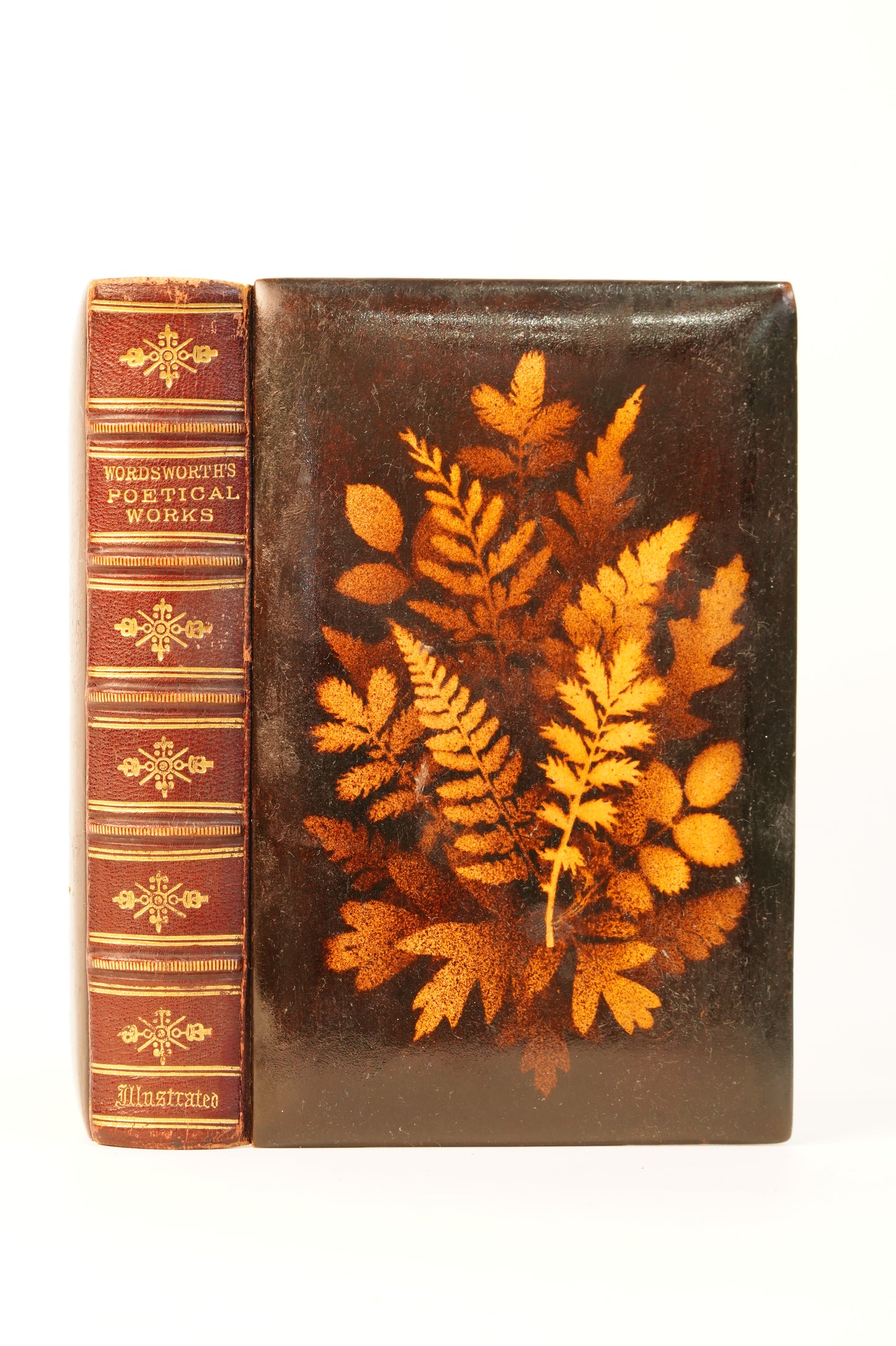 1871 Wordsworth Poetical Works Mauchline Binding