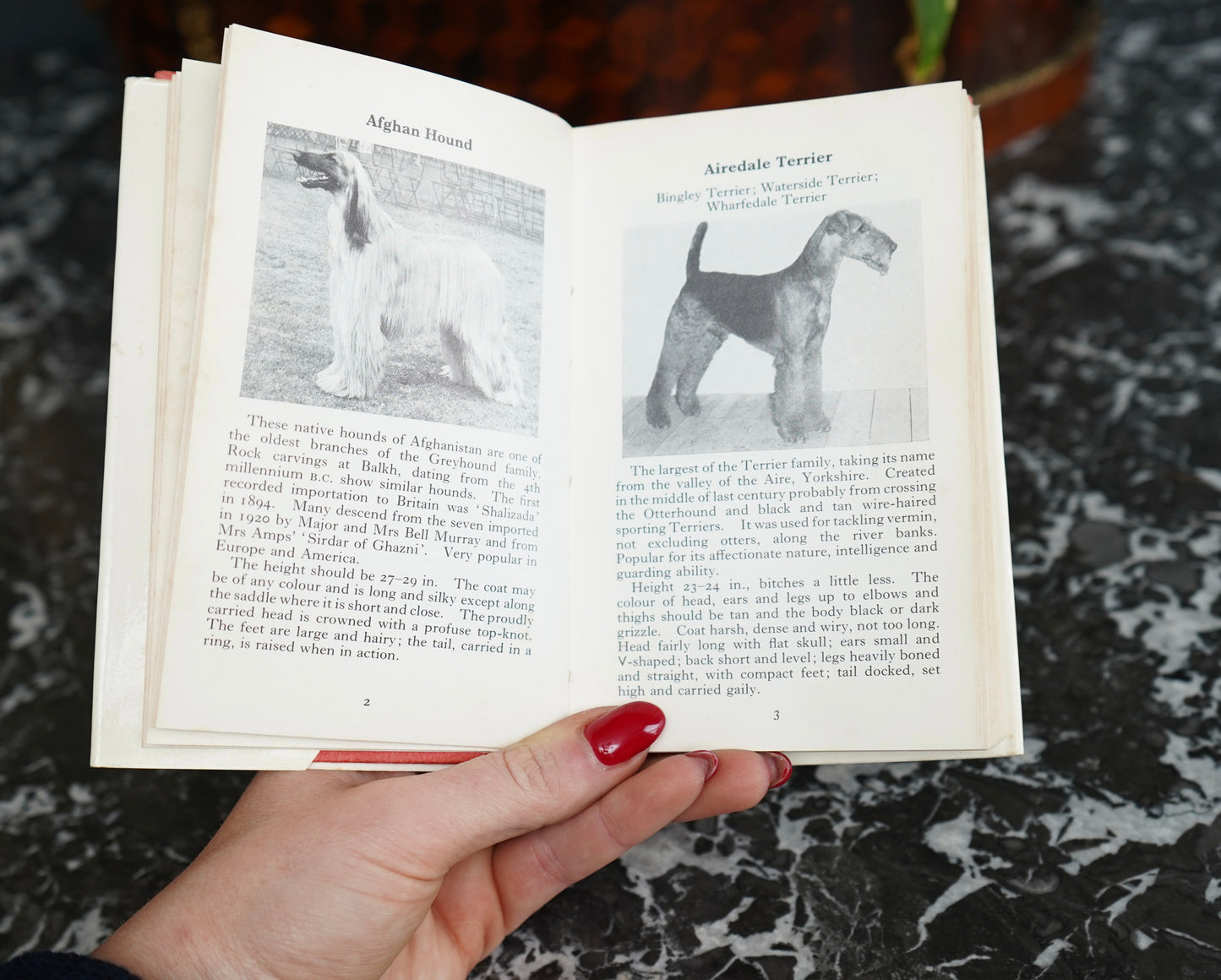 The Observer’s Book of Dogs (1970 Revised Edition) – Frederick Warne Pocket Series No. 8, Illustrated Vintage Dog Breed Guide
