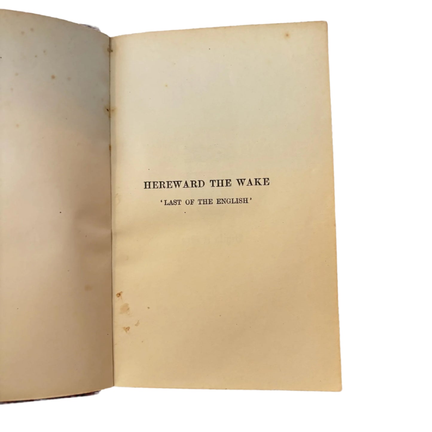 Hereward the Wake by Charles Kingsley, 1912 Historical Novel in Fine Tree Calf Binding with Illustrations