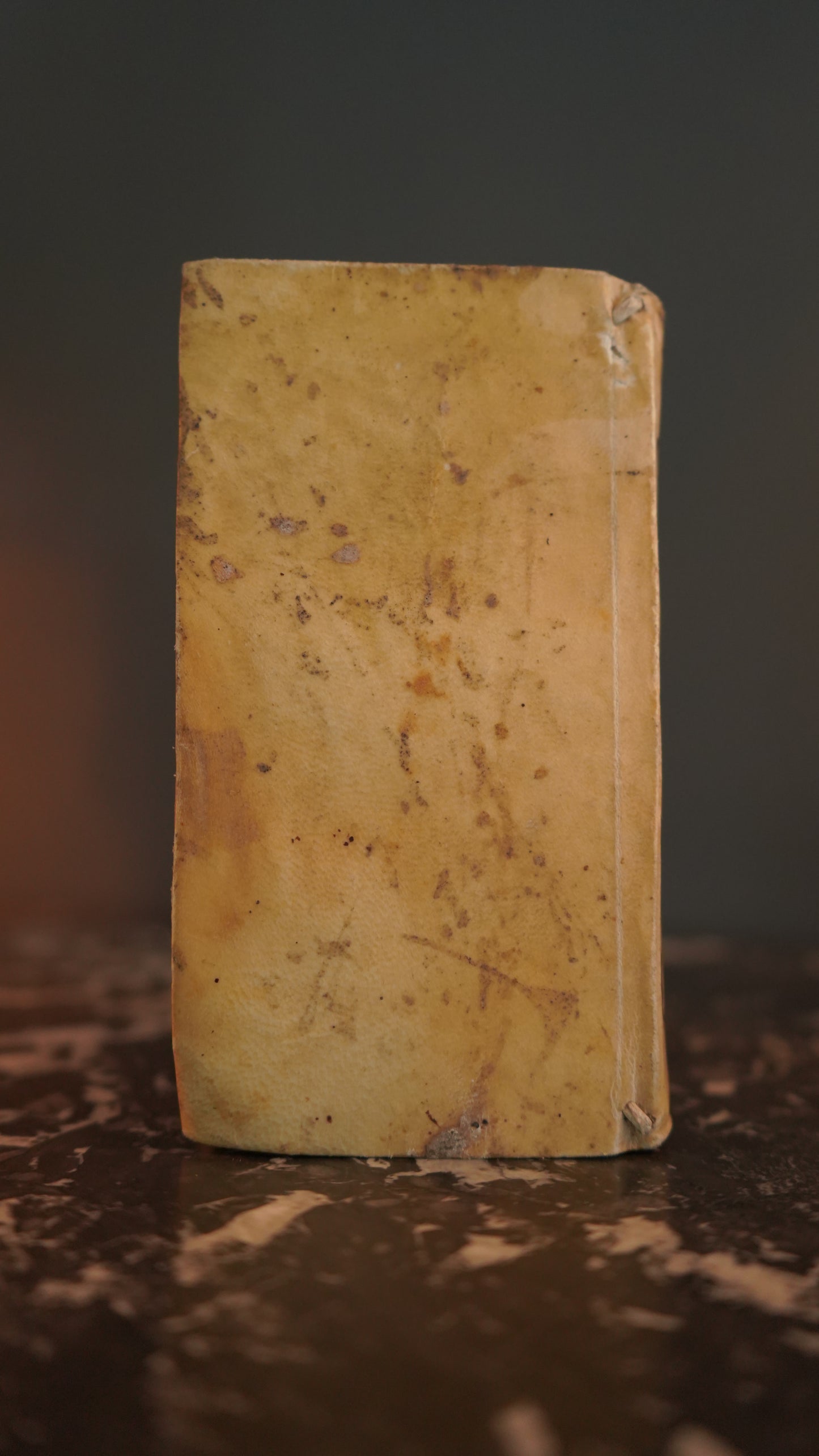 Miniature 1675 "La Valge Smarrita di antonio Lupis" Italian Vellum Book