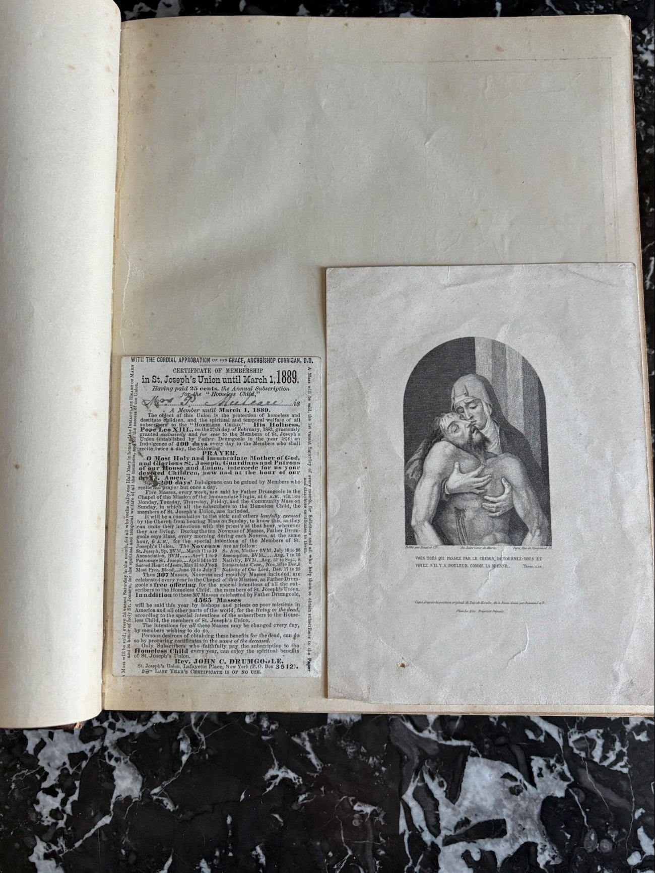 1884 Picturesque Ireland by John Savage | Illustrated Victorian Leather-Bound Book
