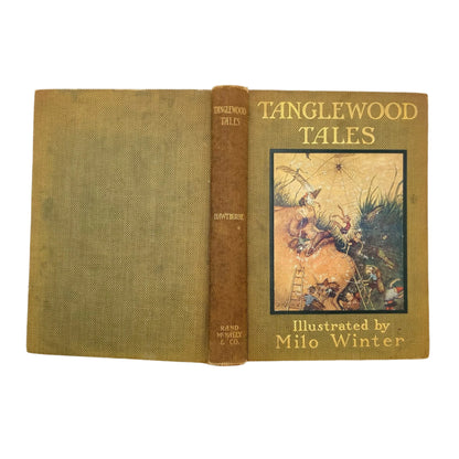 "Tanglewood Tales" Victorian Cloth Book