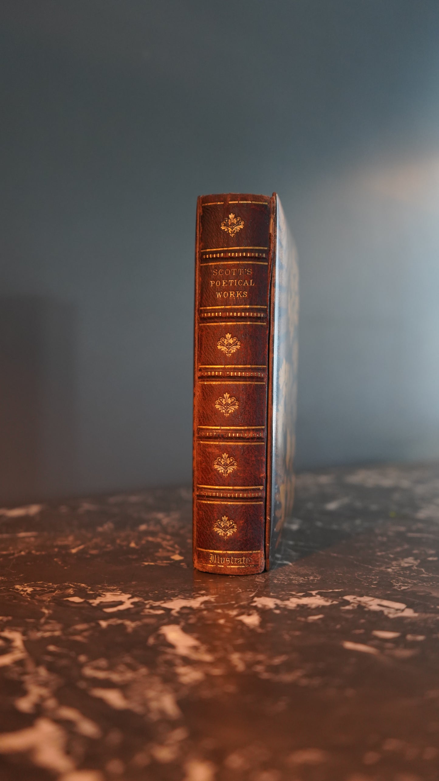 Mauchline Binding 1849 "The Poetical Works of Sir Walter Scott"